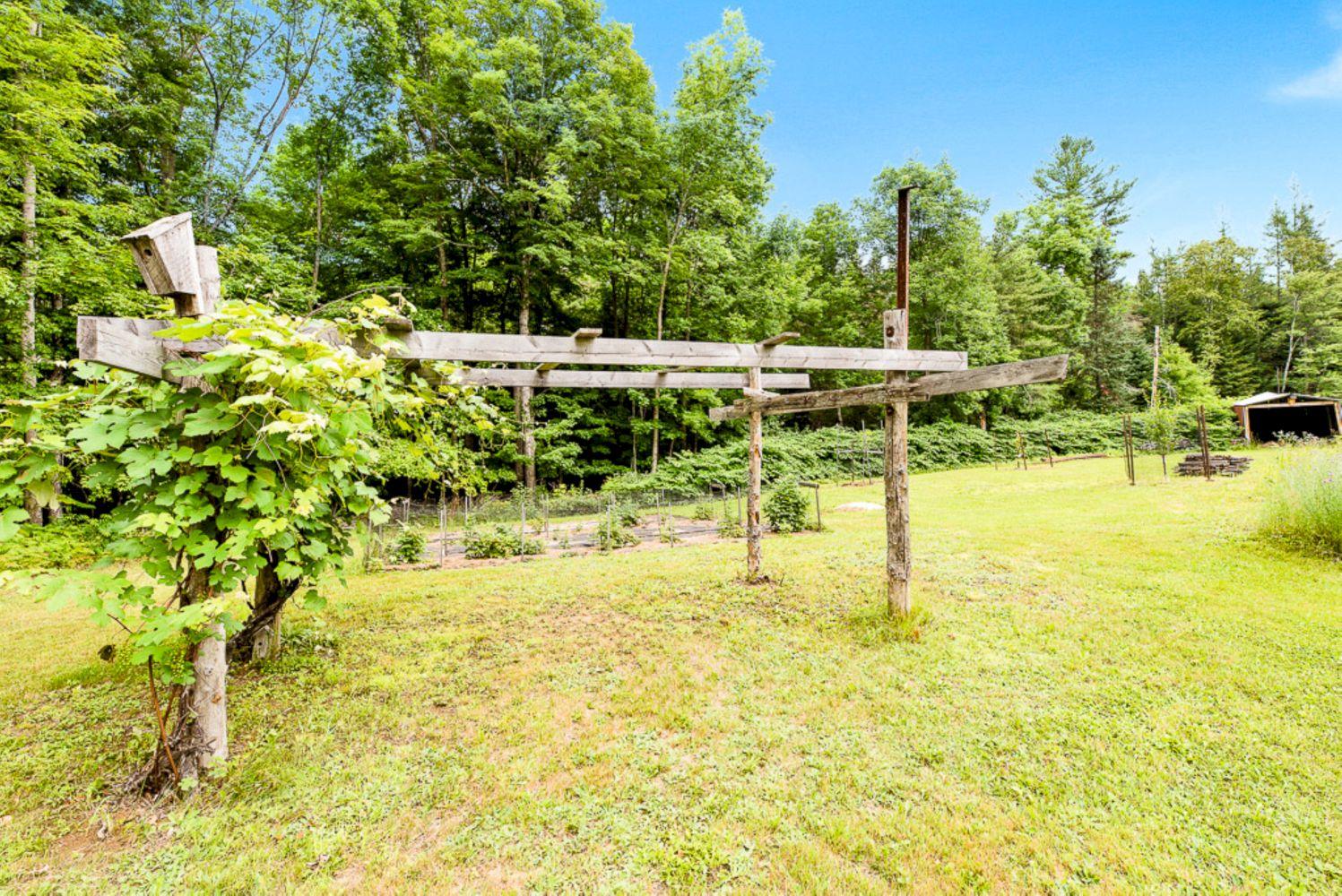 367 Bert Berry Road Concord Township, ME 04920 - Photo 15 of 93 Magical Moments Photography-14