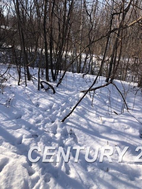 9085 Birch Run Road Millington, MI 48746 - Photo 3 of 31