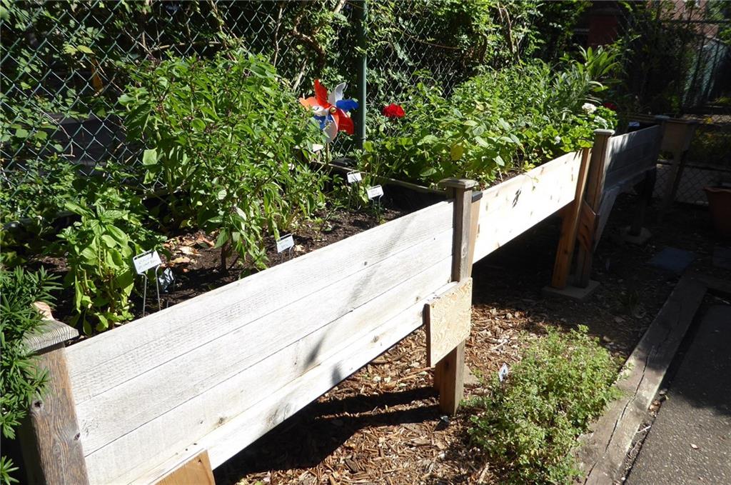 4601 Fifth Avenue, Unit 623 Pittsburgh, PA 15213 - Photo 23 of 24 a view of a tree with a flower pot