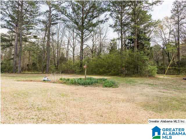 484 Henderson Road Odenville, AL 35120 - Photo 27 of 32