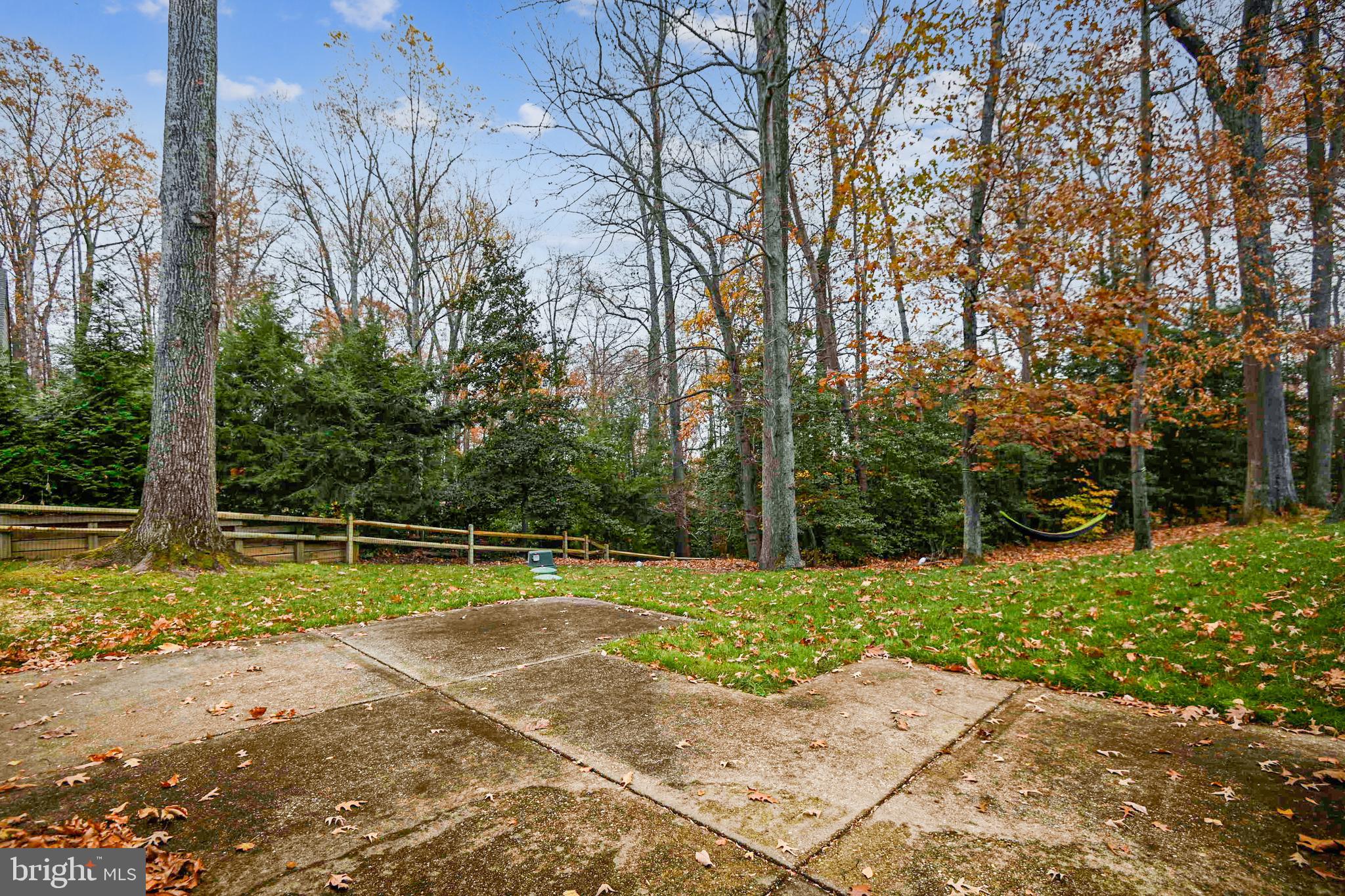 3463 Godspeed Road Davidsonville, MD 21035 - Photo 58 of 81 Backyard