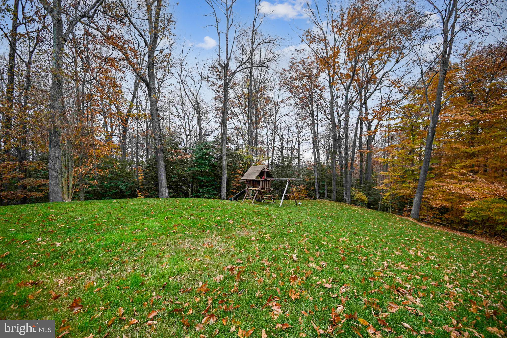 3463 Godspeed Road Davidsonville, MD 21035 - Photo 61 of 81 Backyard