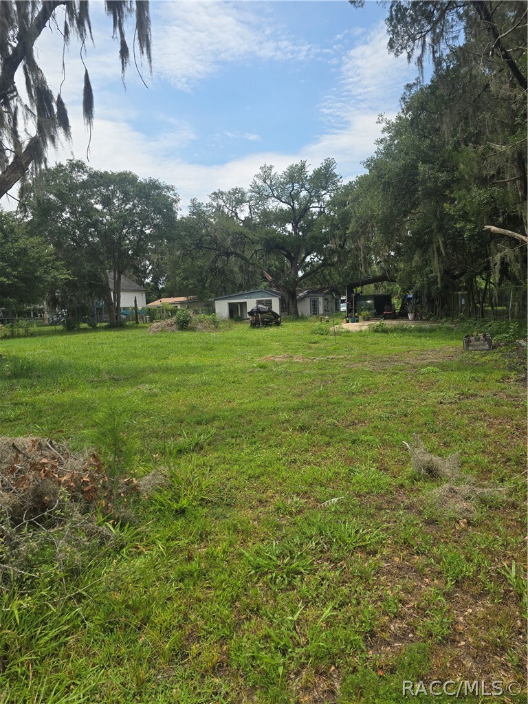 2931 North Wheaton Point Hernando, FL 34442 - Photo 7 of 9 back of property