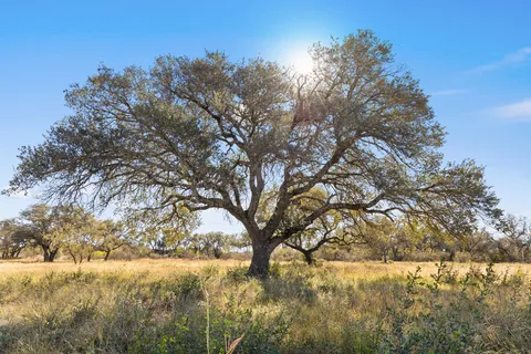 $995,000 | 9 Pedernales Canyon Trail, Spicewood, TX 78669