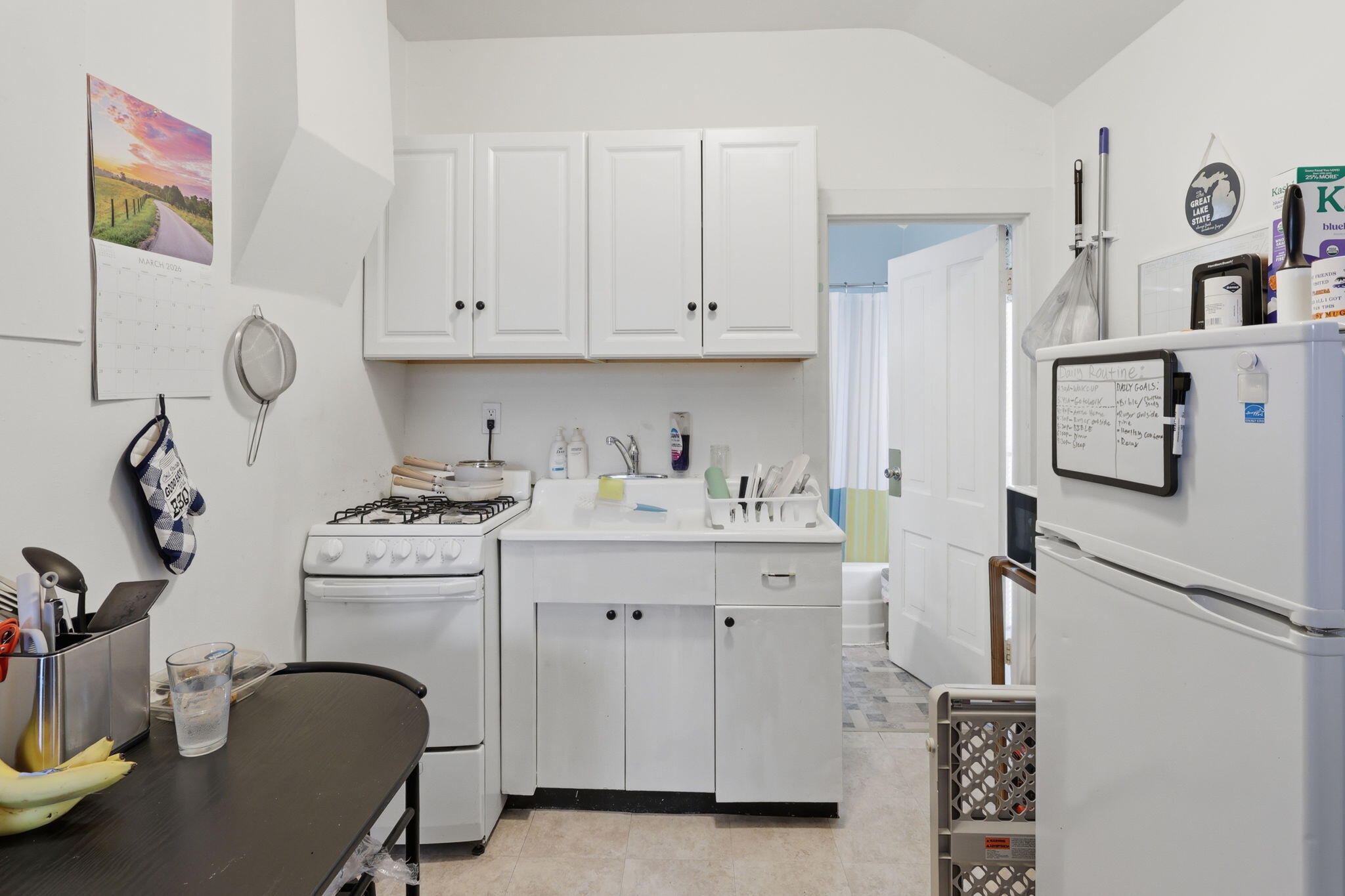 308 East State Street St. Johns, MI 48879 - Photo 12 of 27 12-web-or-mls-2z6a5819 colin gipson-tans