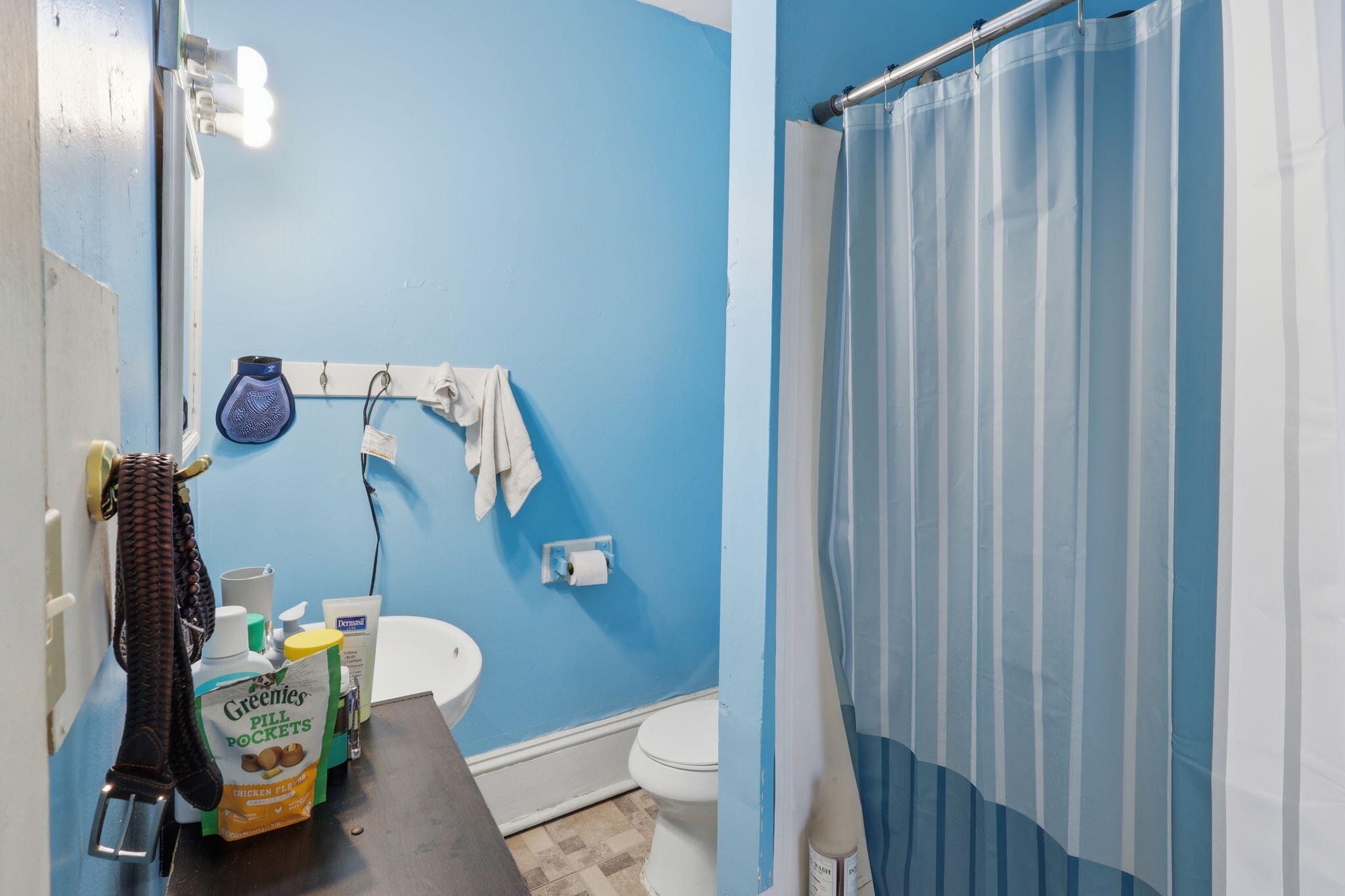 308 East State Street St. Johns, MI 48879 - Photo 26 of 27 26-web-or-mls-2z6a5824 colin gipson-tans