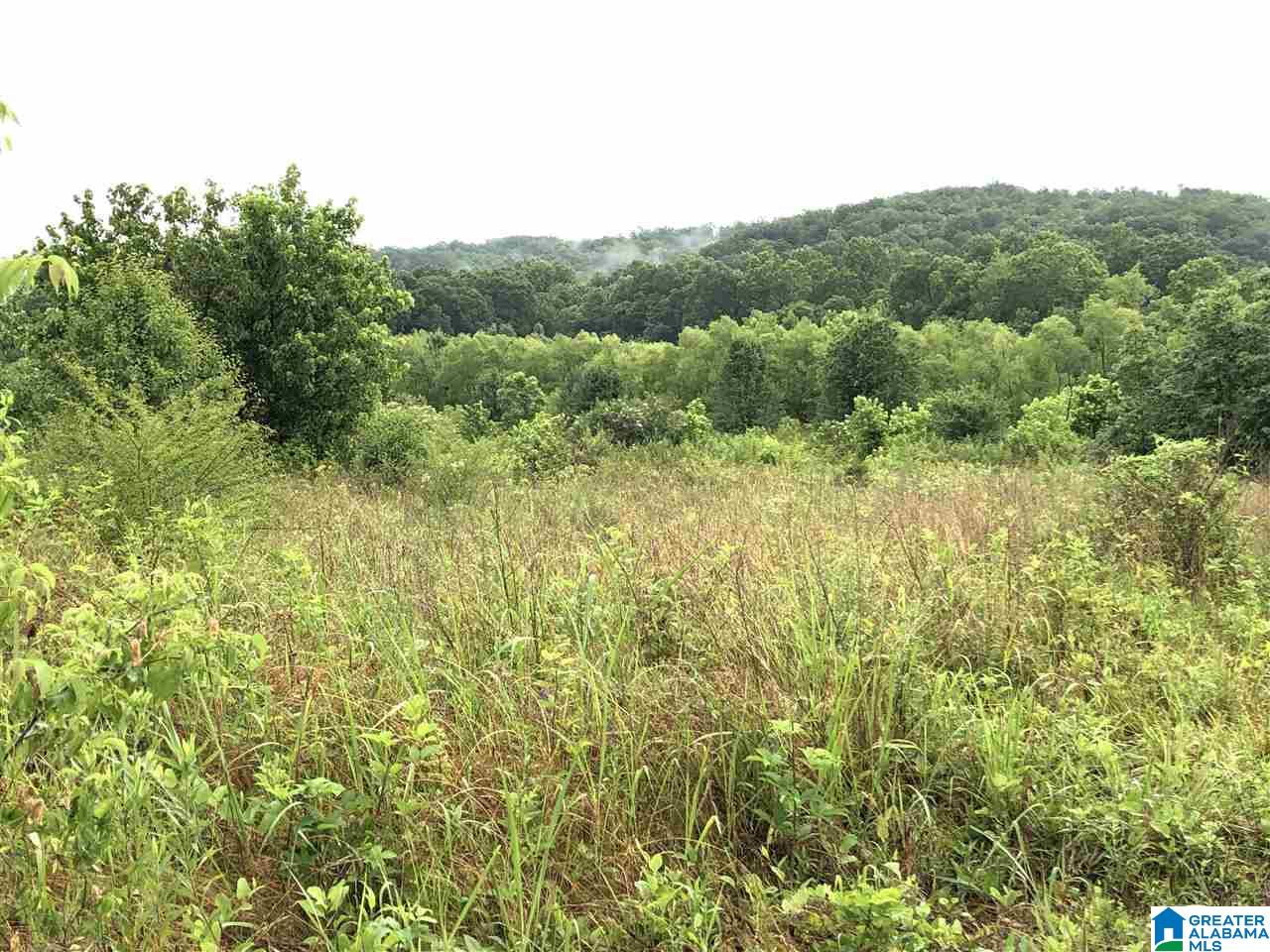 0 Old Downey Mill Road Anniston, AL 36207 - Photo 17 of 28