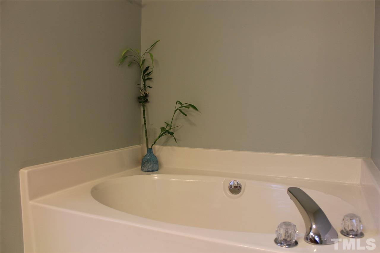 1317 Red Twig Road Apex, NC 27502 - Photo 11 of 15 Gallery Image 11