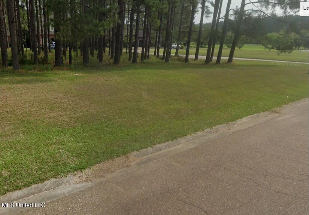 2-3 Club Drive Natchez, MS 39120 - Photo 4 of 5 Lots 2&3 Club Dr 3