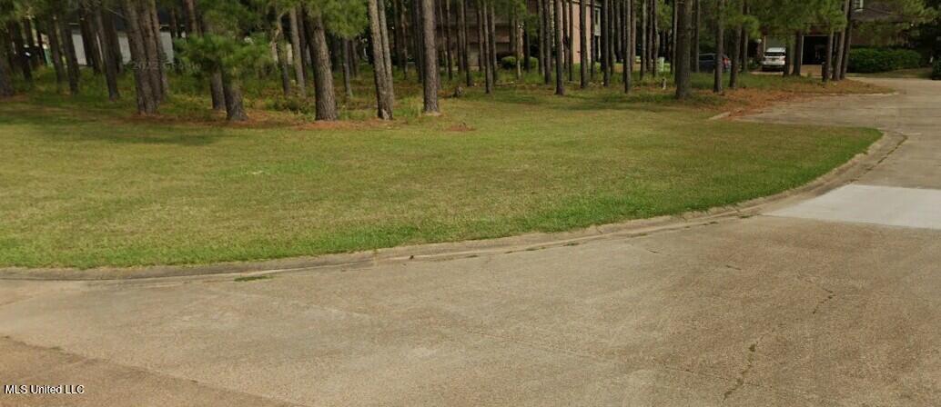 2-3 Club Drive Natchez, MS 39120 - Photo 5 of 5 2&3 Club