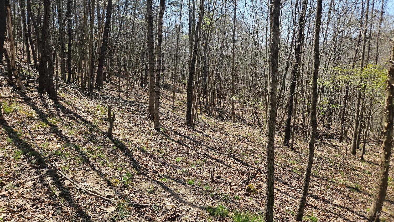 0 Spruce Hollow Road South Webster, OH 45682 - Photo 40 of 54