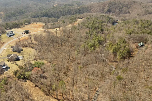 a view of a dry yard