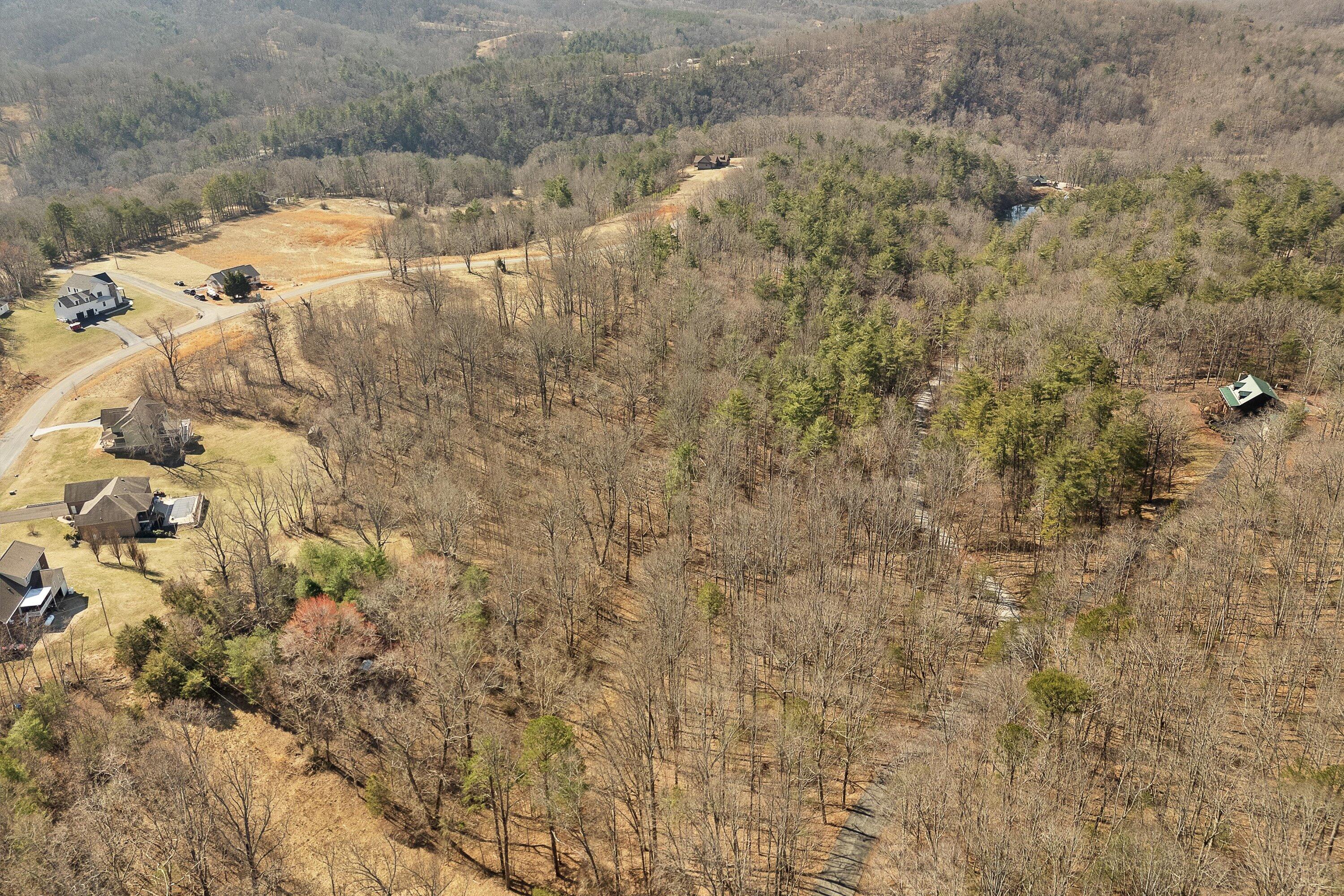 a view of a dry yard