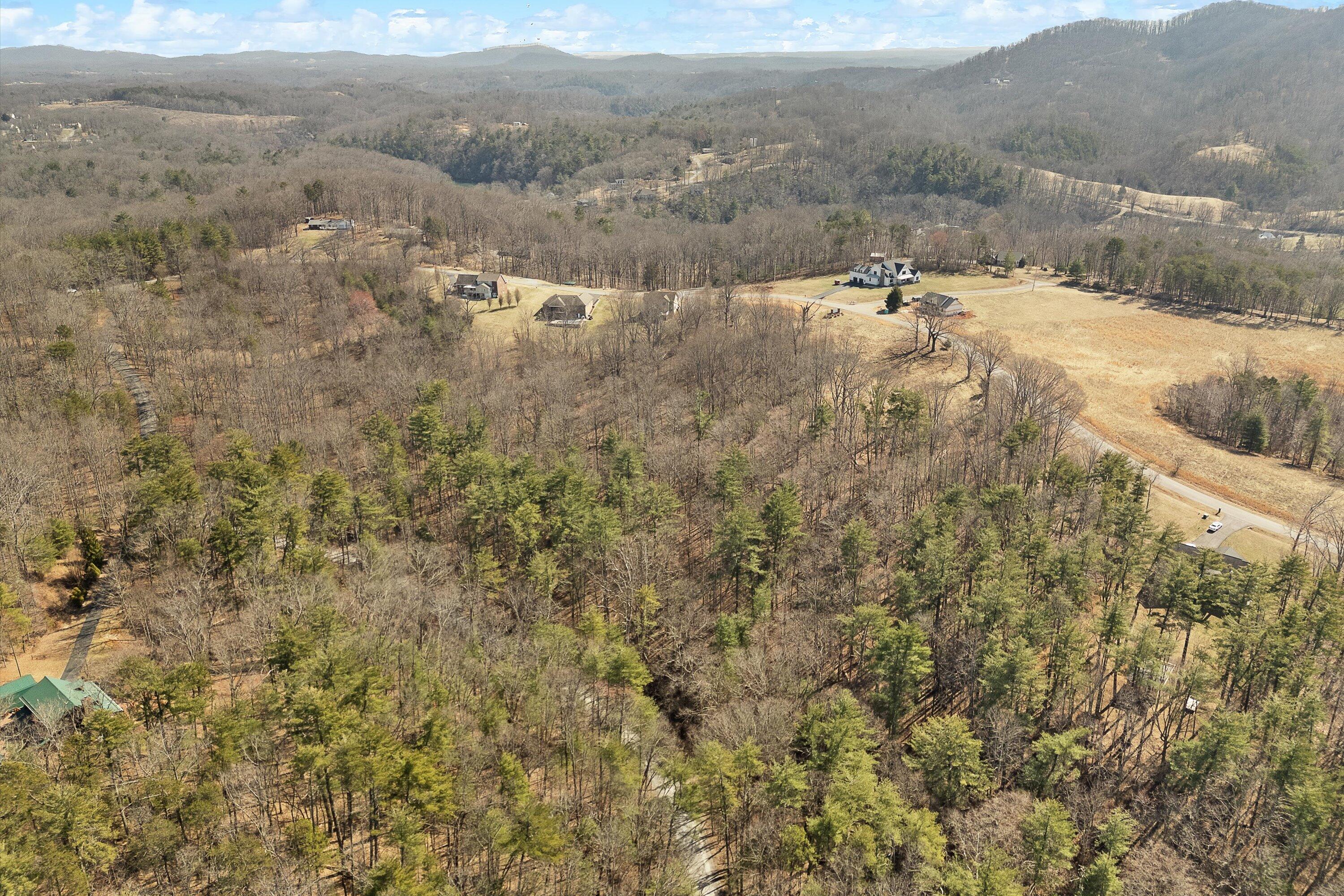 Lot 2 Winding Timber Lane Vinton, VA 24179 - Photo 11 of 21 a view of a yard with an outdoor space