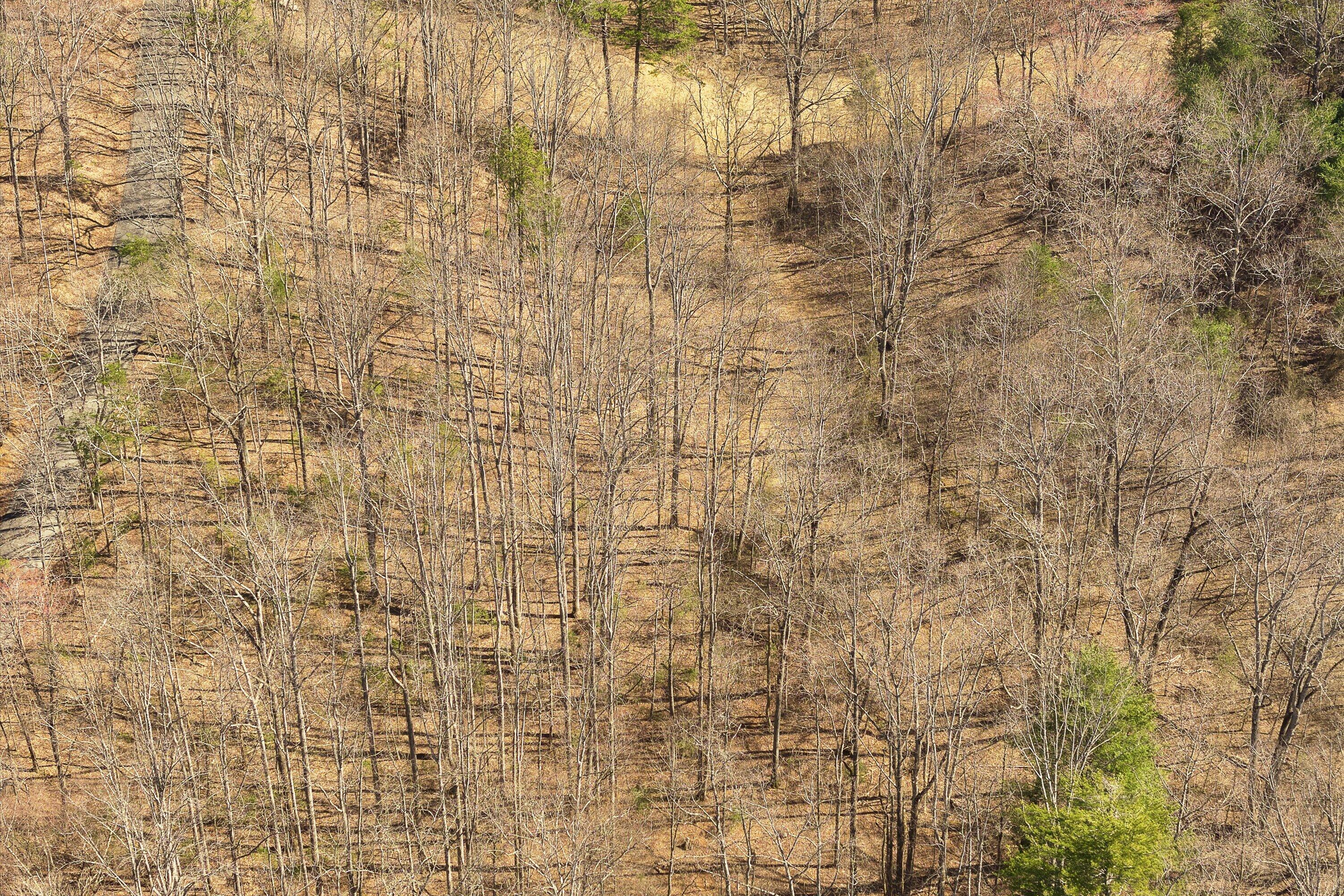 Lot 2 Winding Timber Lane Vinton, VA 24179 - Photo 13 of 21 a bathroom with a shower