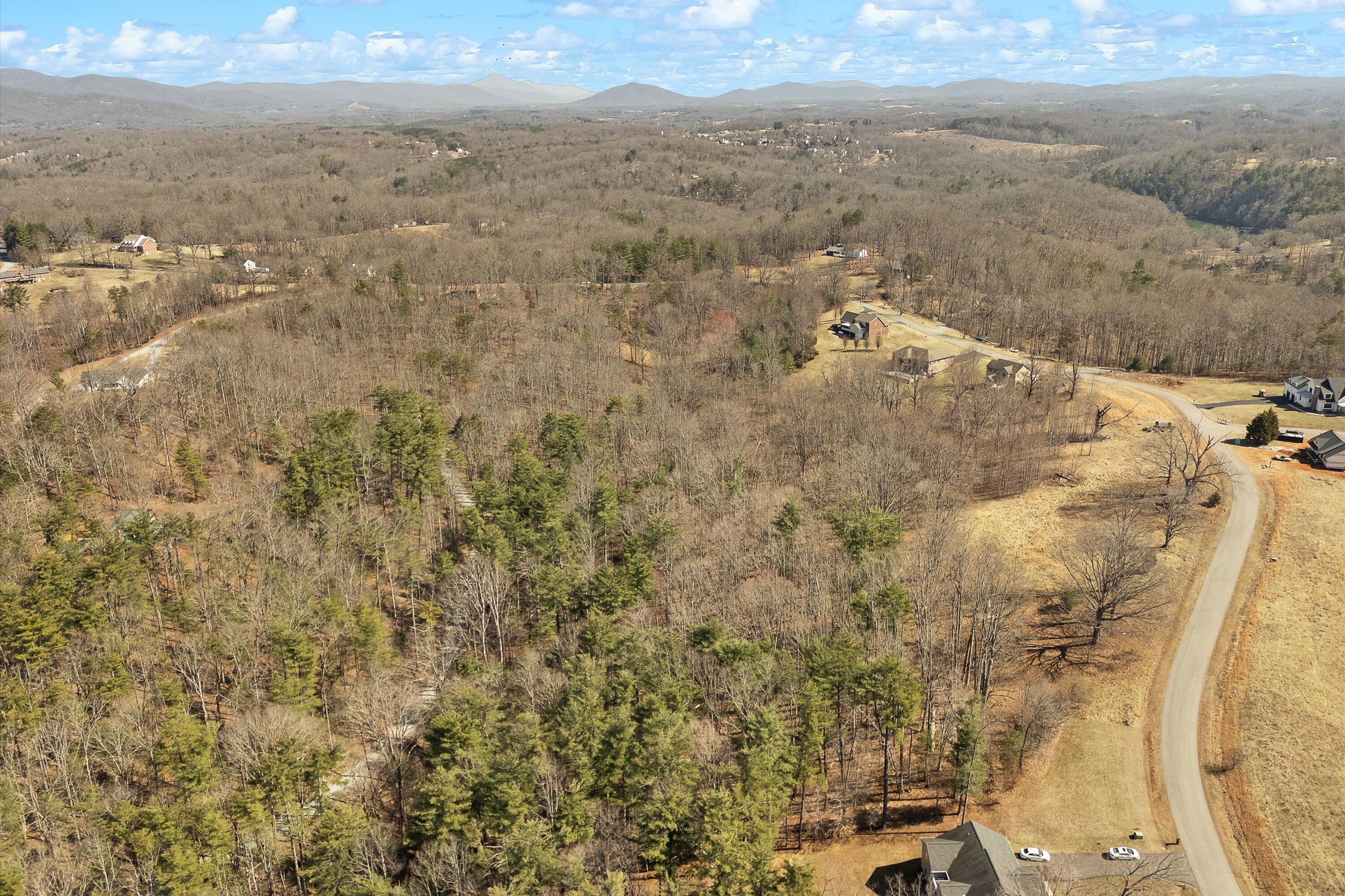 Lot 2 Winding Timber Lane Vinton, VA 24179 - Photo 15 of 21 a view of city and mountain