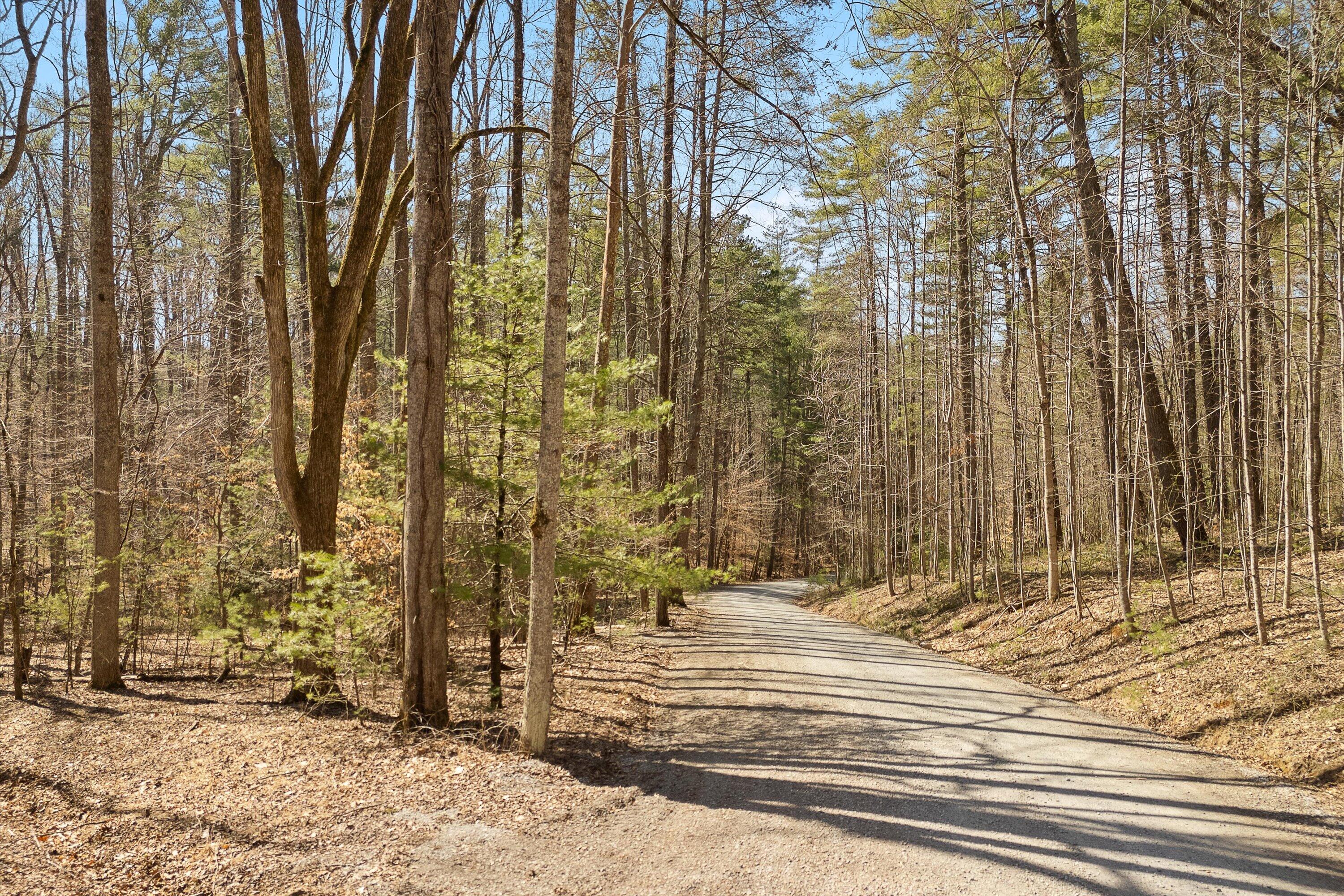 Lot 2 Winding Timber Lane Vinton, VA 24179 - Photo 3 of 21 a view of outdoor space with street view