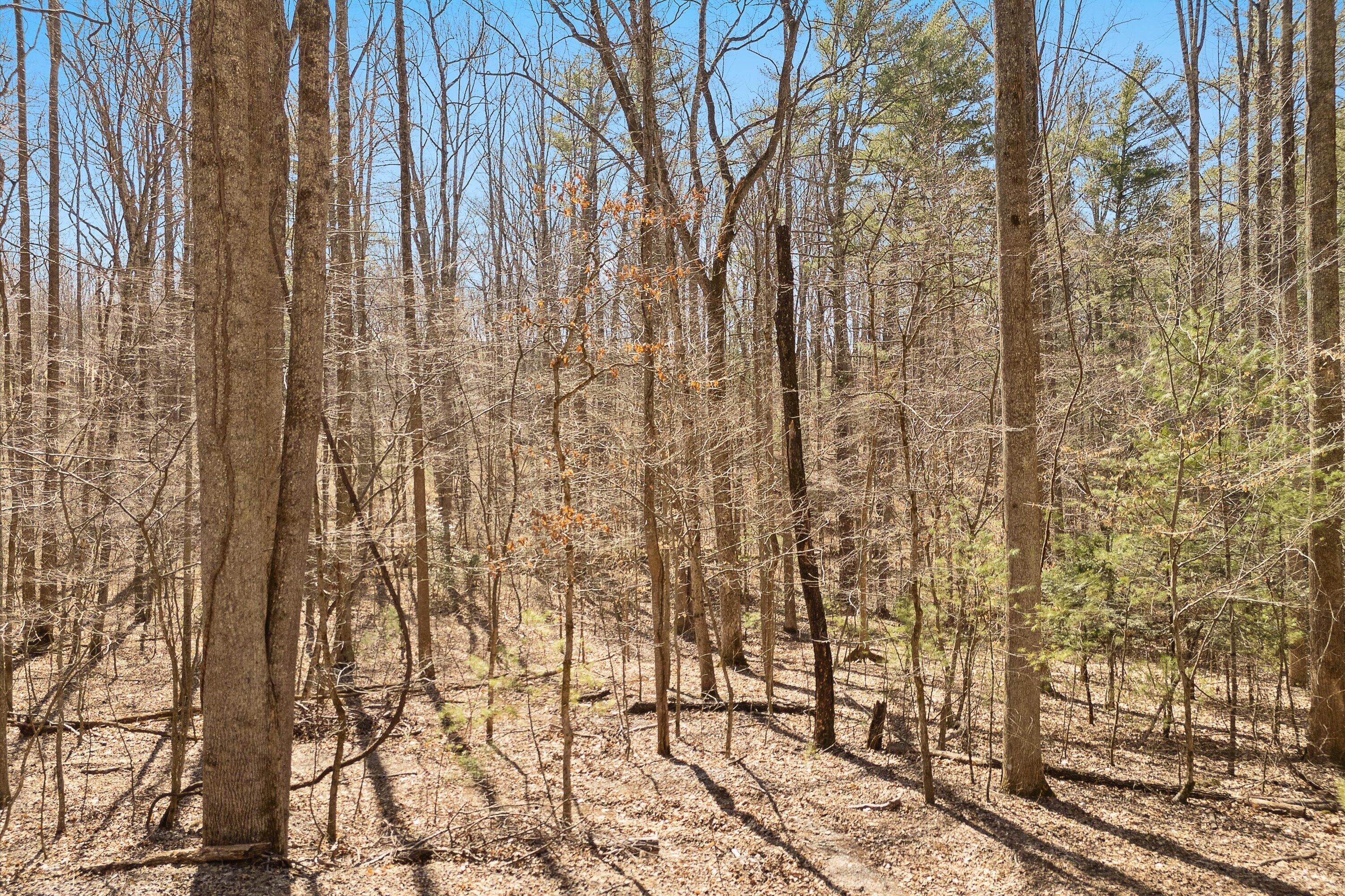 Lot 2 Winding Timber Lane Vinton, VA 24179 - Photo 4 of 21