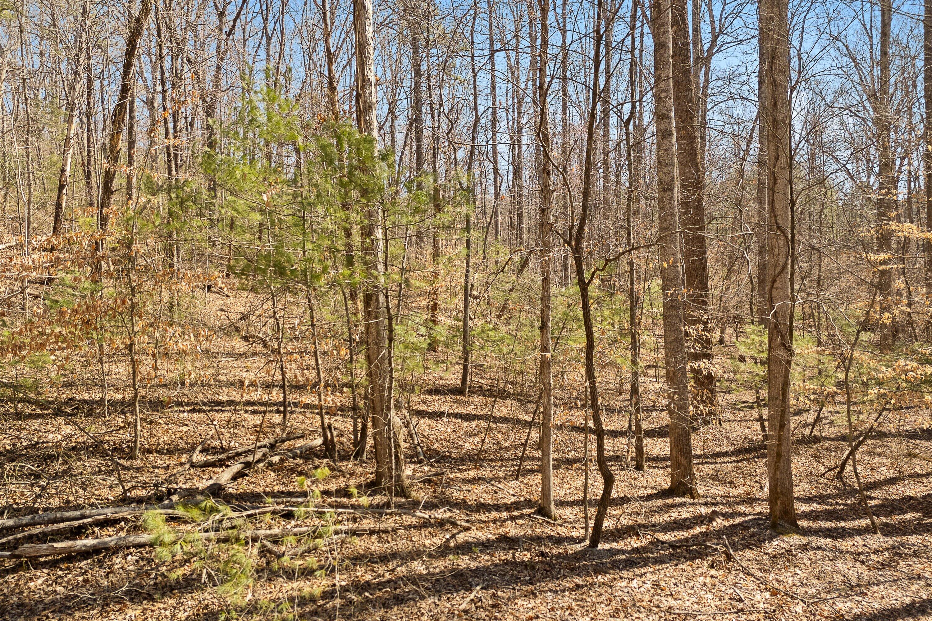 Lot 2 Winding Timber Lane Vinton, VA 24179 - Photo 5 of 21