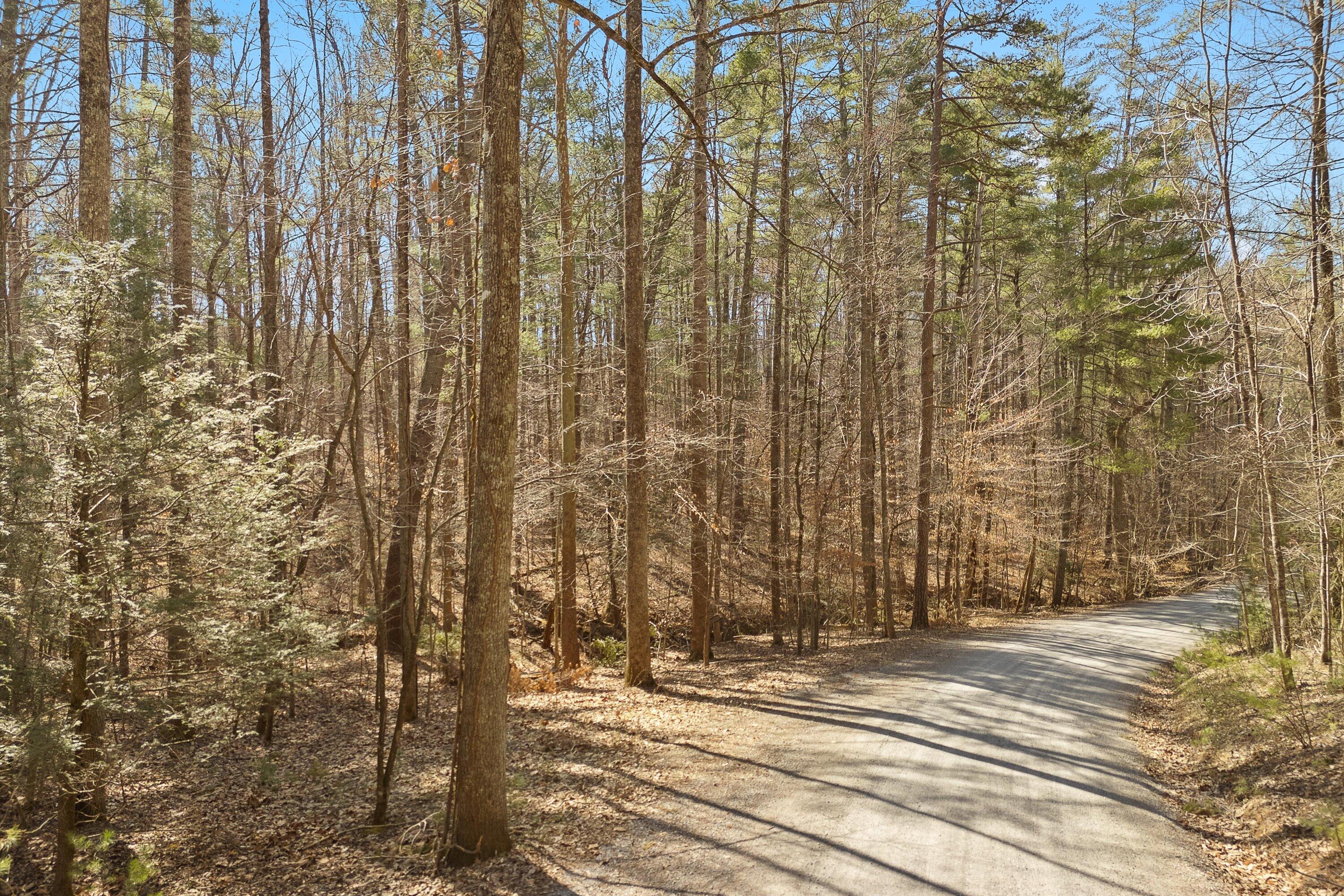 Lot 2 Winding Timber Lane Vinton, VA 24179 - Photo 6 of 21