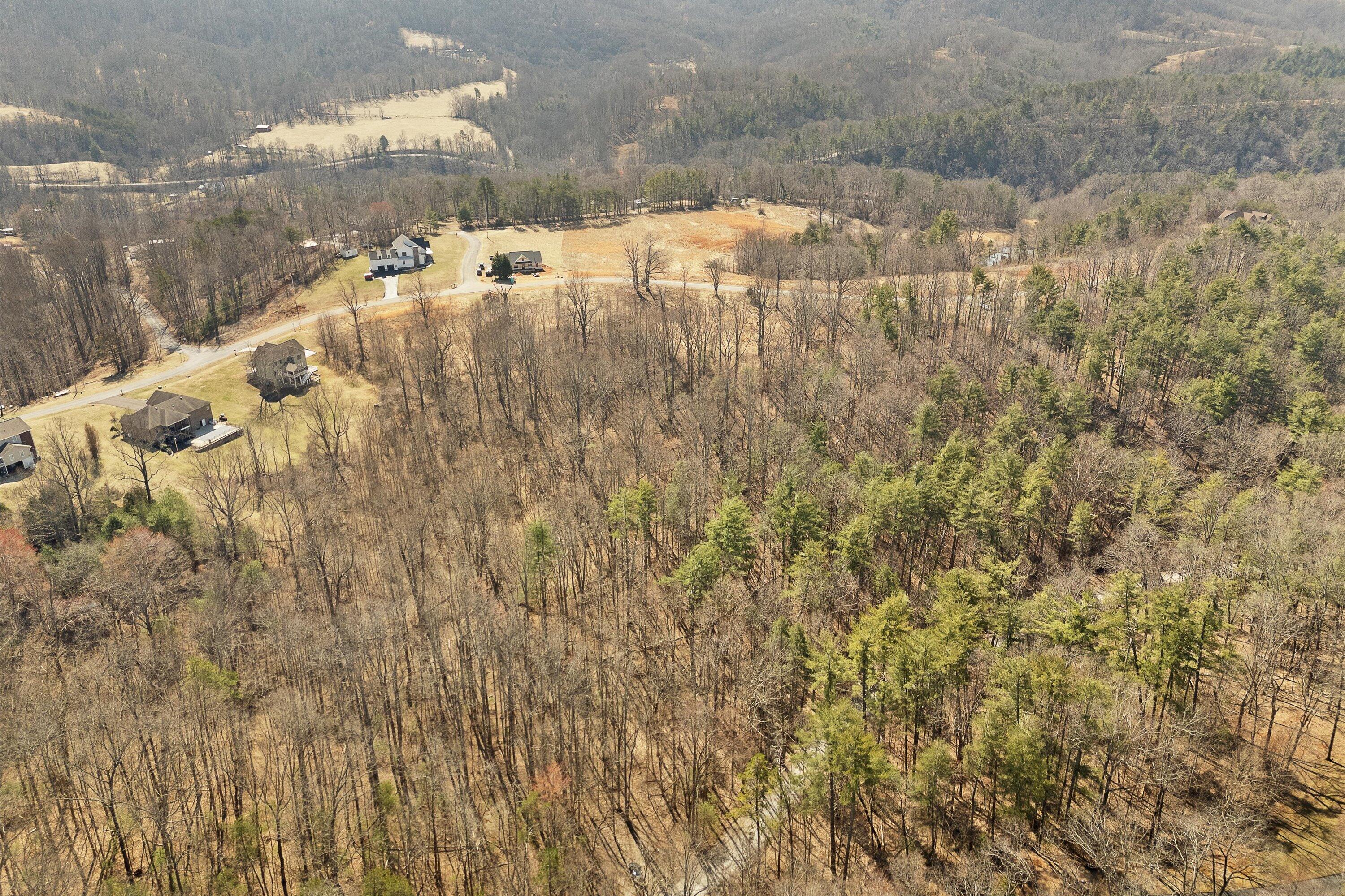 Lot 2 Winding Timber Lane Vinton, VA 24179 - Photo 7 of 21 a view of a lake view