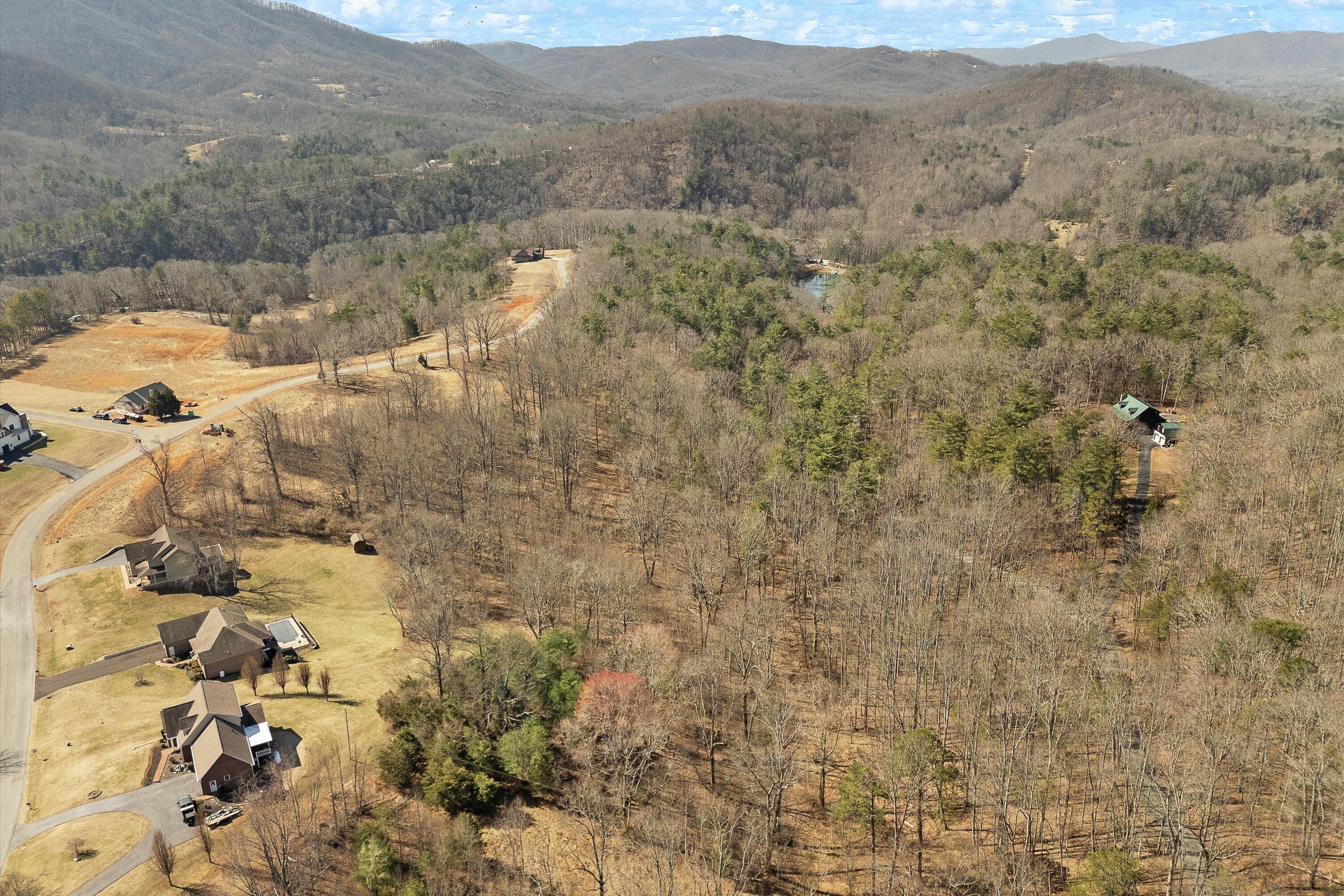 Lot 2 Winding Timber Lane Vinton, VA 24179 - Photo 8 of 21 a view of a dry yard and mountain