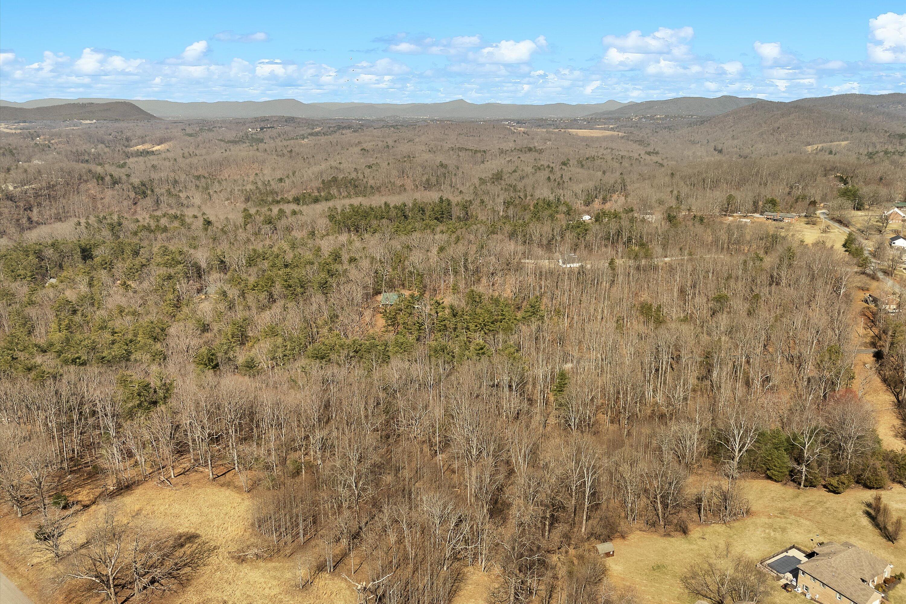 Lot 2 Winding Timber Lane Vinton, VA 24179 - Photo 10 of 21 a view of sky view
