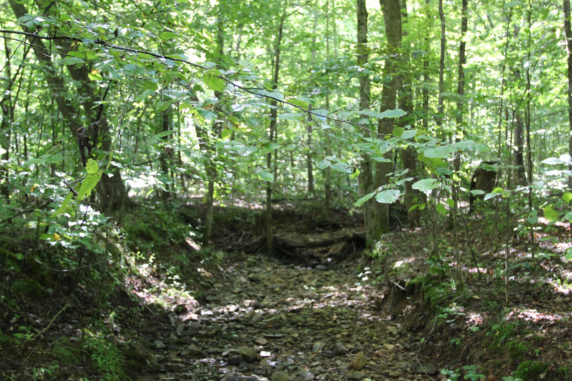 0 Pond Lane Tennessee Ridge, TN 37178 - Photo 11 of 30