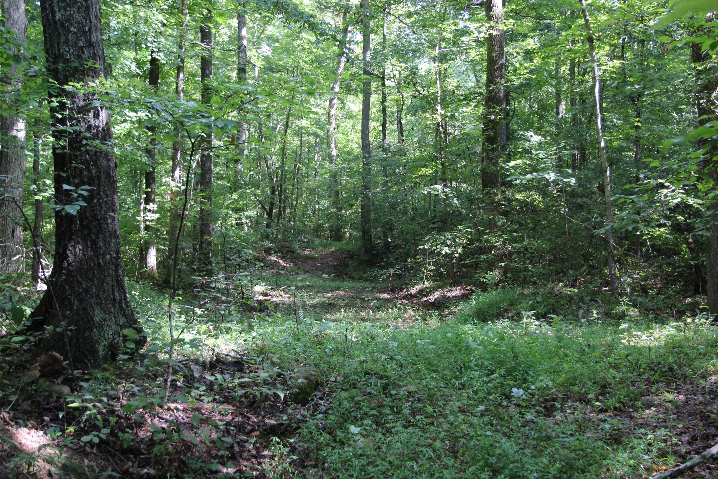 0 Pond Lane Tennessee Ridge, TN 37178 - Photo 12 of 30