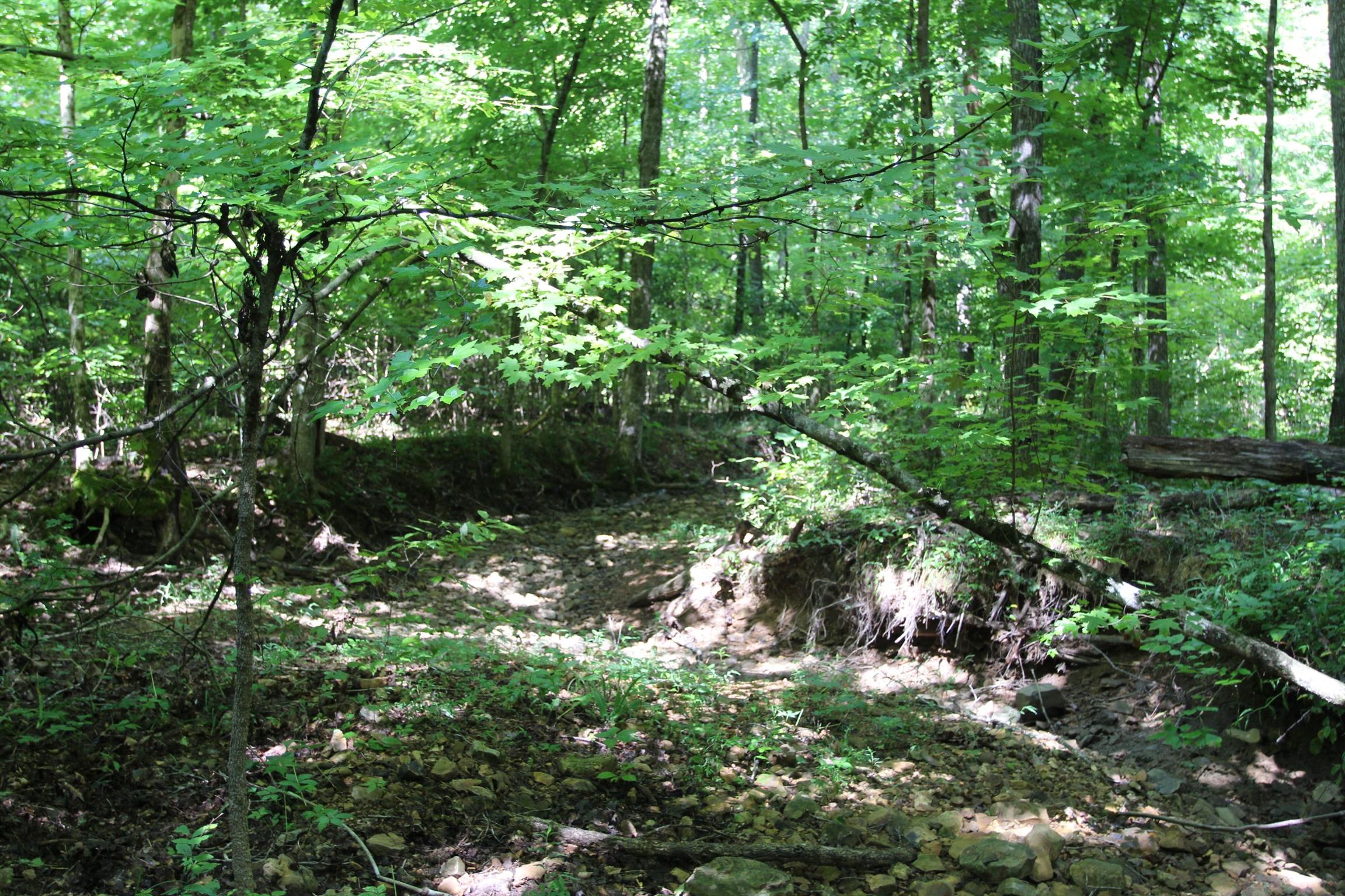 0 Pond Lane Tennessee Ridge, TN 37178 - Photo 13 of 30