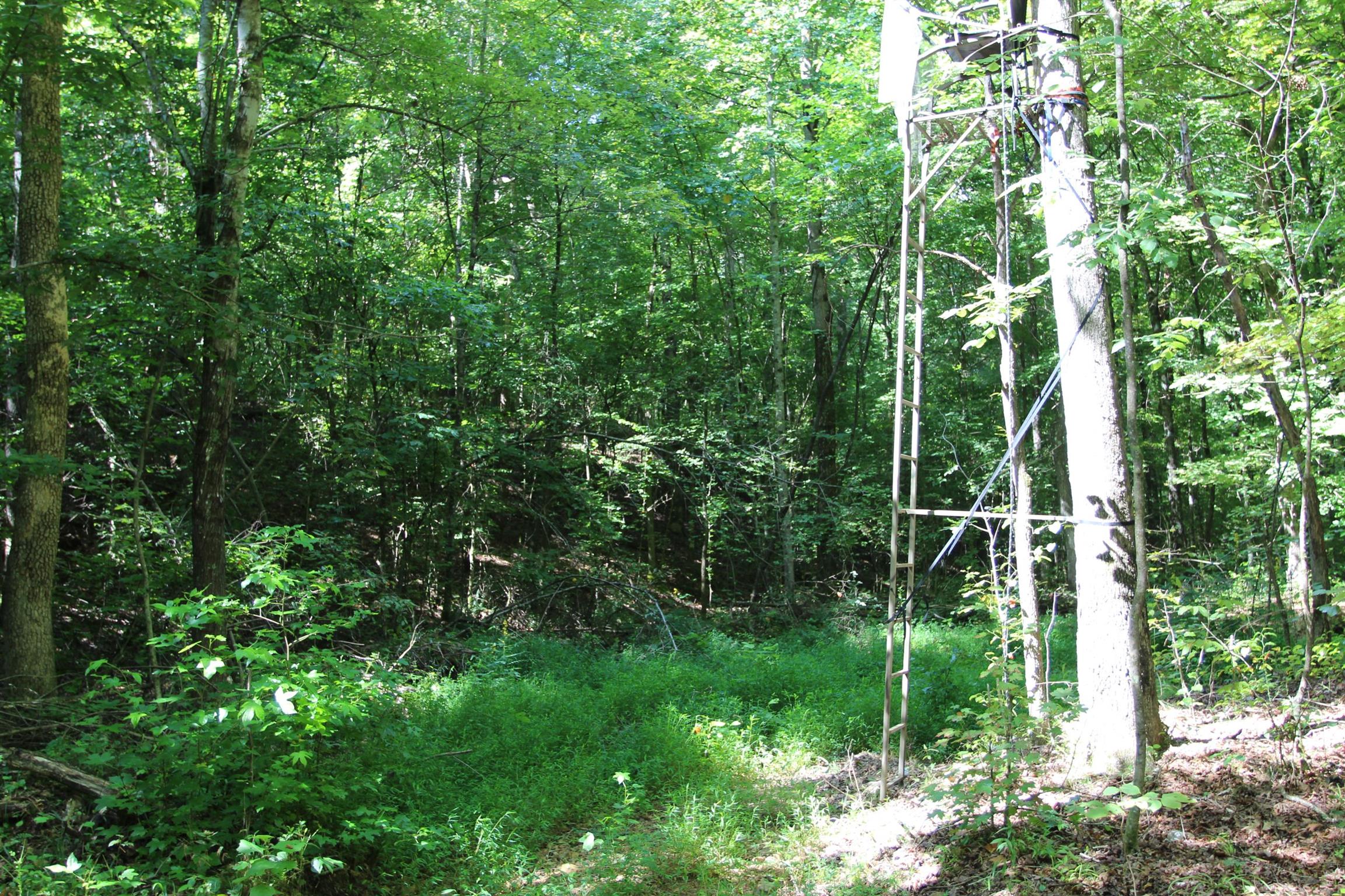 0 Pond Lane Tennessee Ridge, TN 37178 - Photo 15 of 30