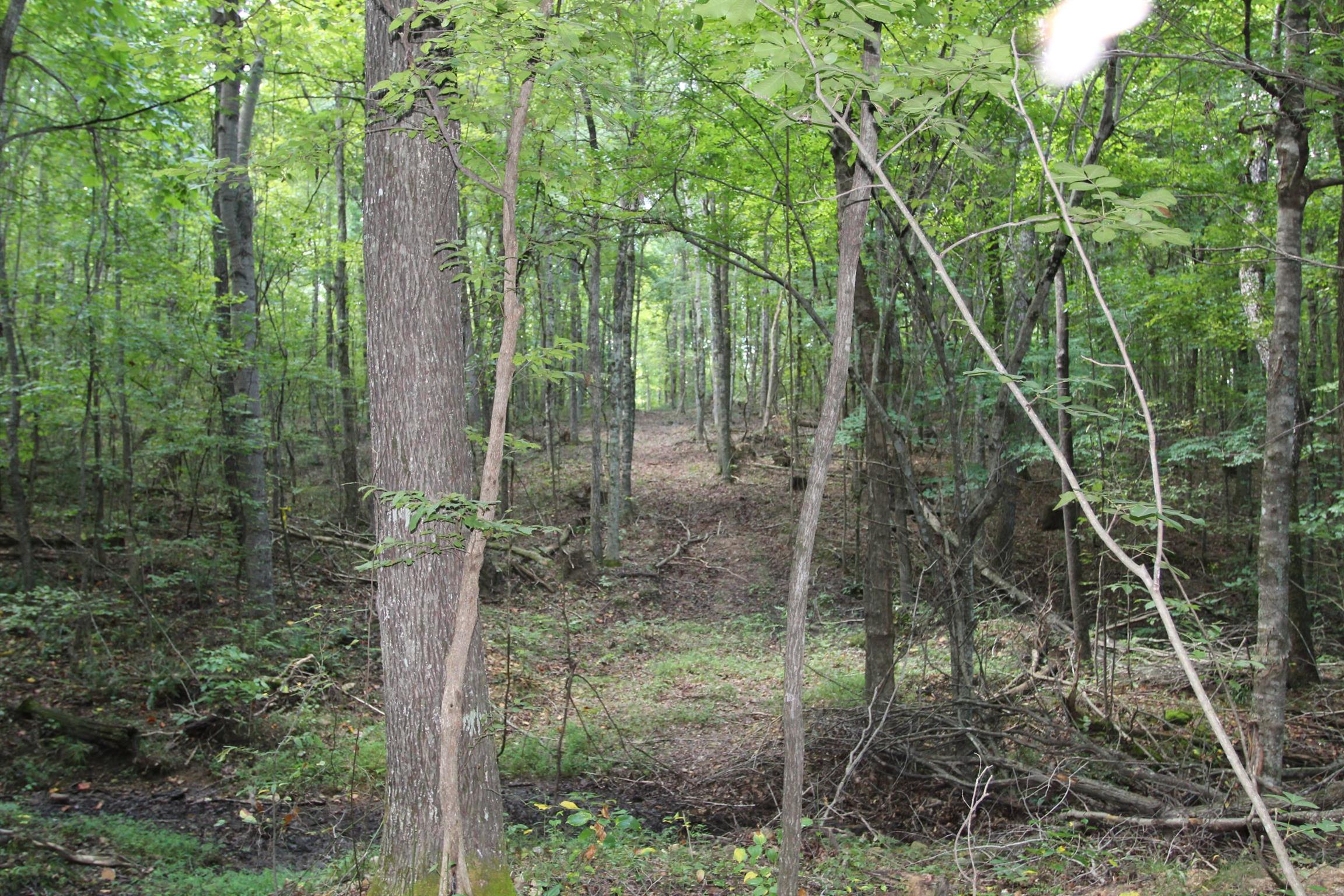 0 Pond Lane Tennessee Ridge, TN 37178 - Photo 18 of 30
