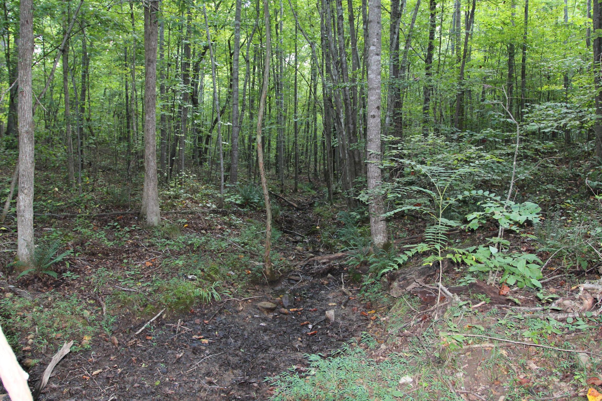 0 Pond Lane Tennessee Ridge, TN 37178 - Photo 19 of 30