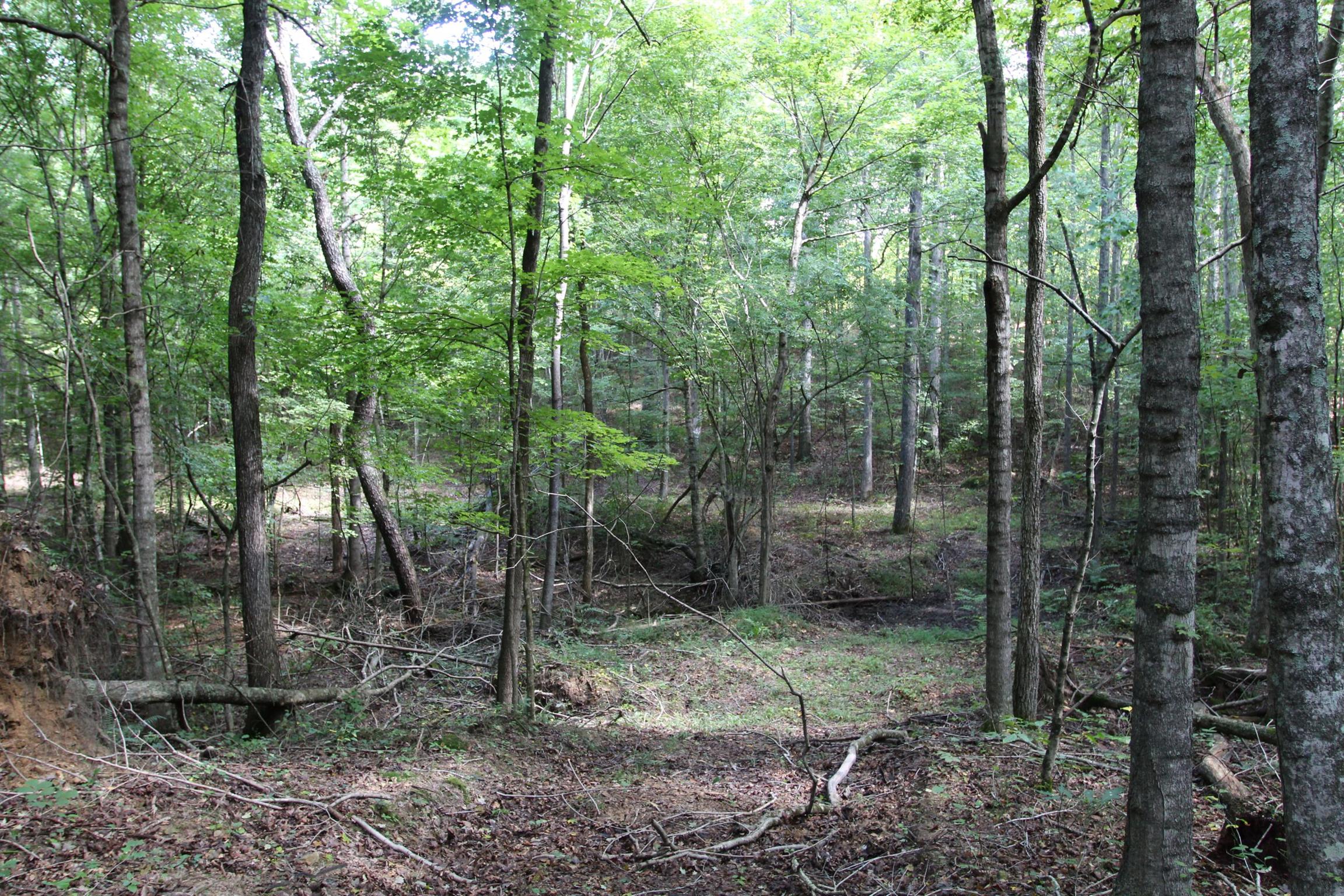 0 Pond Lane Tennessee Ridge, TN 37178 - Photo 20 of 30