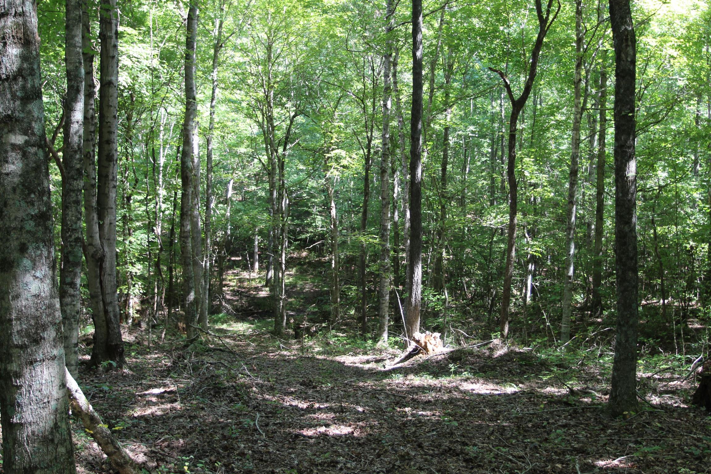 0 Pond Lane Tennessee Ridge, TN 37178 - Photo 21 of 30