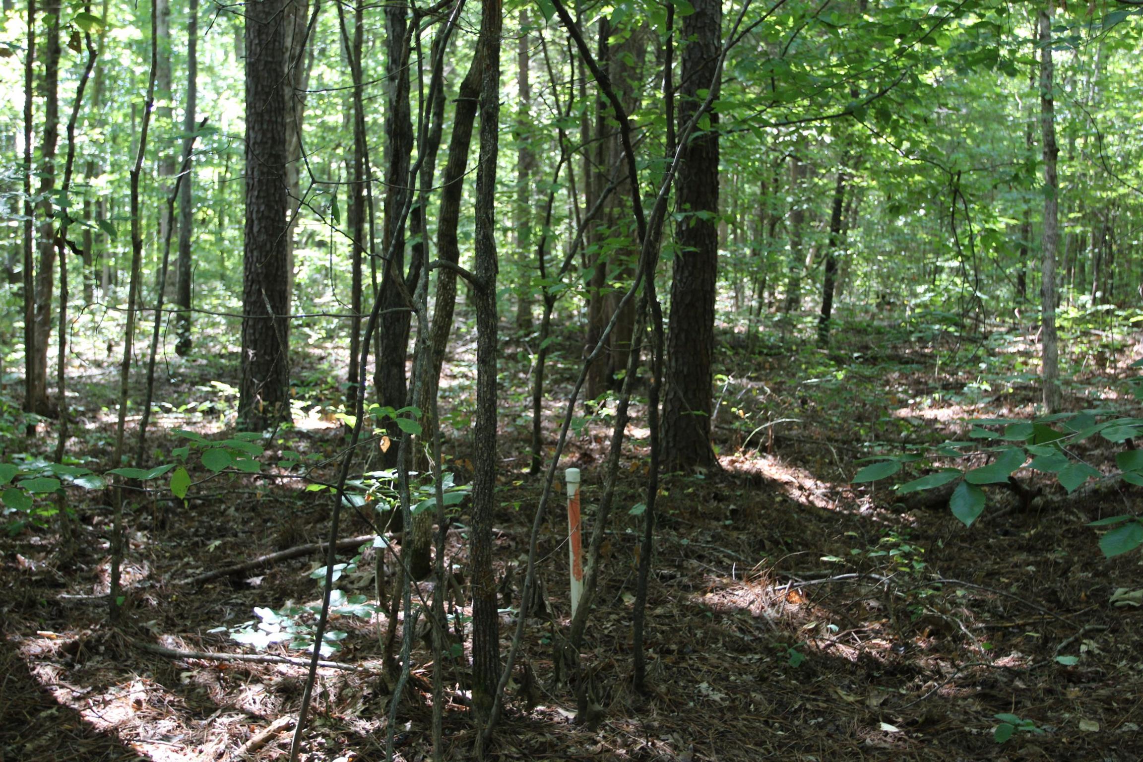 0 Pond Lane Tennessee Ridge, TN 37178 - Photo 23 of 30