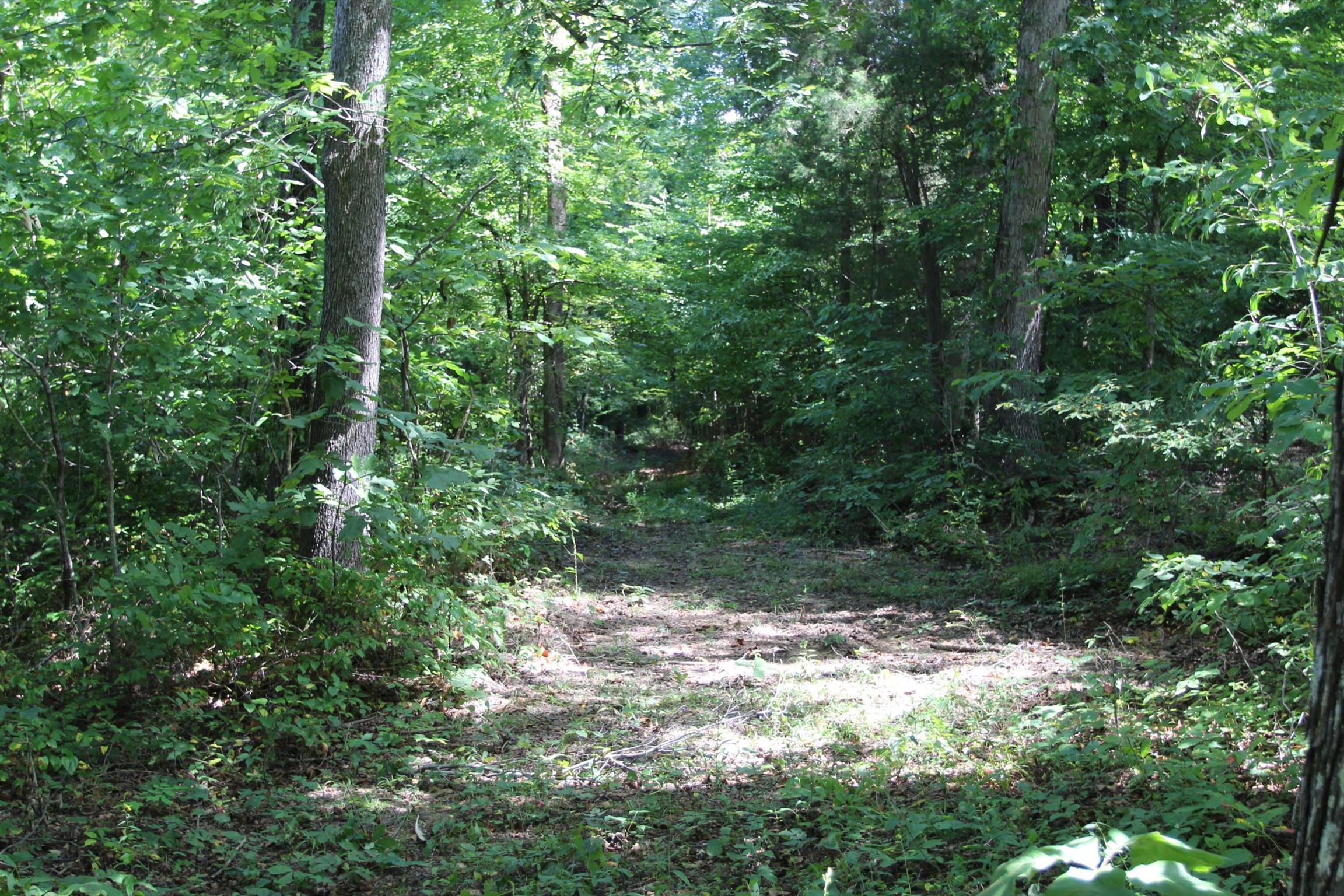 0 Pond Lane Tennessee Ridge, TN 37178 - Photo 26 of 30