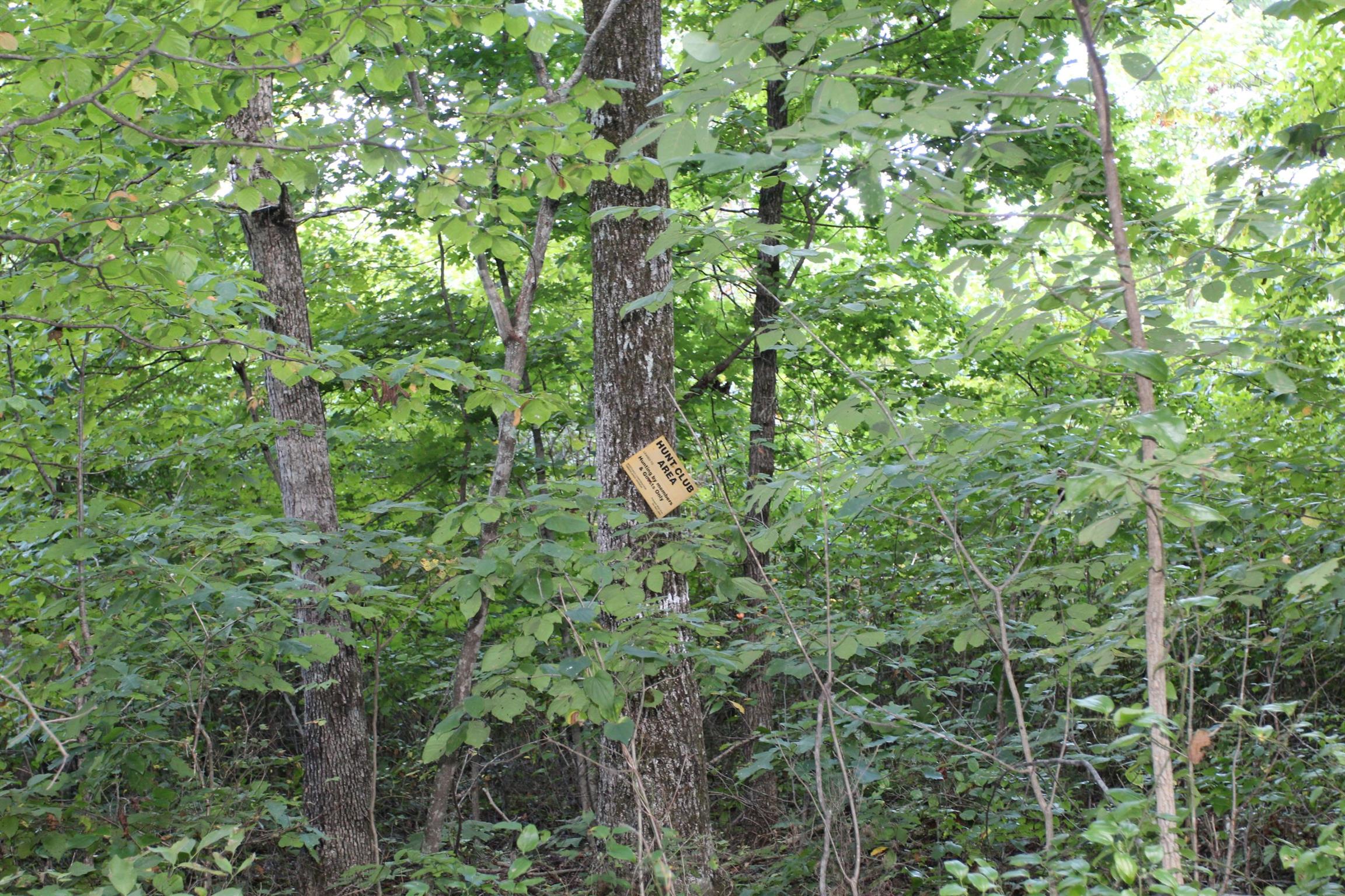0 Pond Lane Tennessee Ridge, TN 37178 - Photo 27 of 30