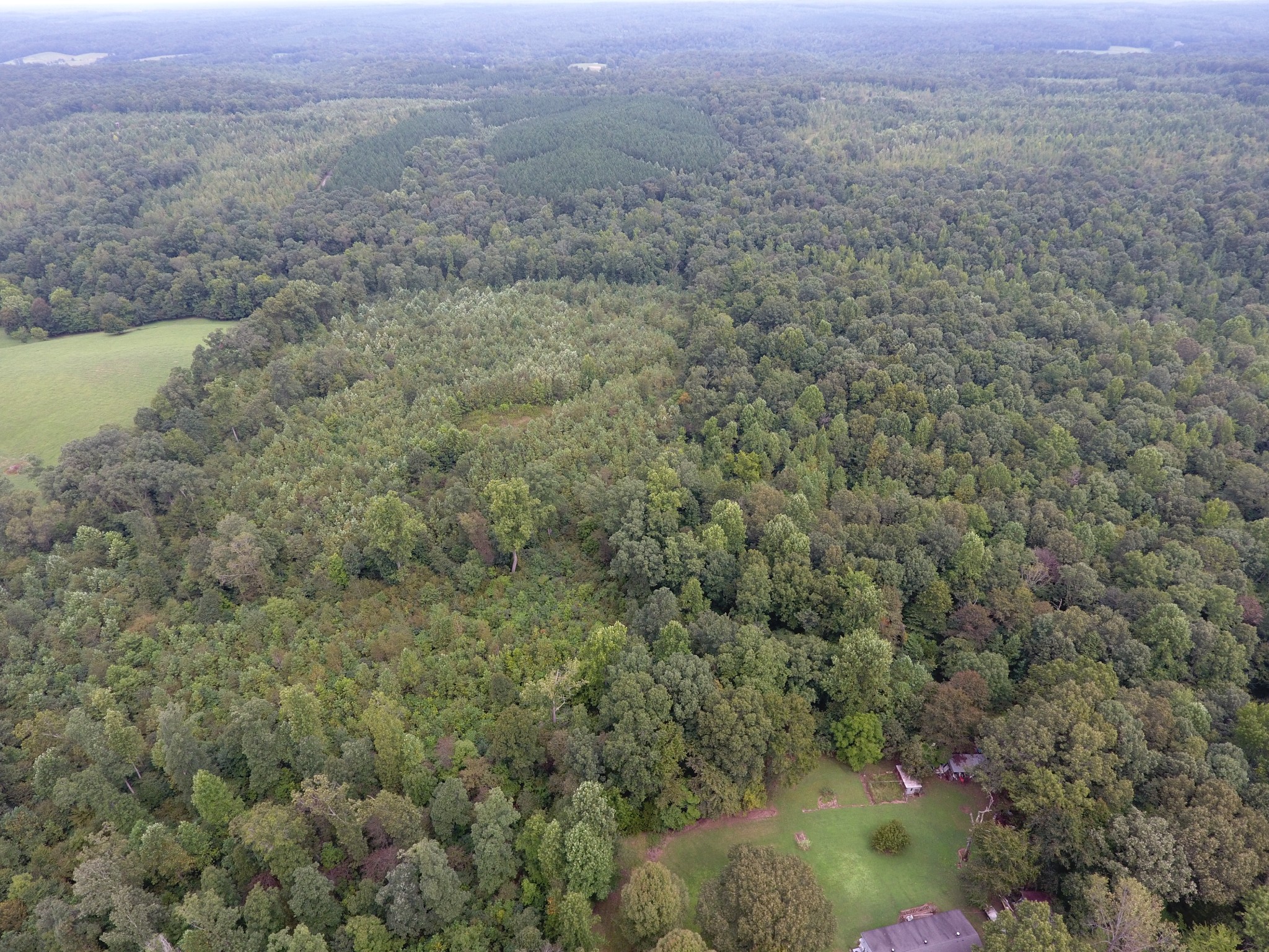 0 Pond Lane Tennessee Ridge, TN 37178 - Photo 3 of 30