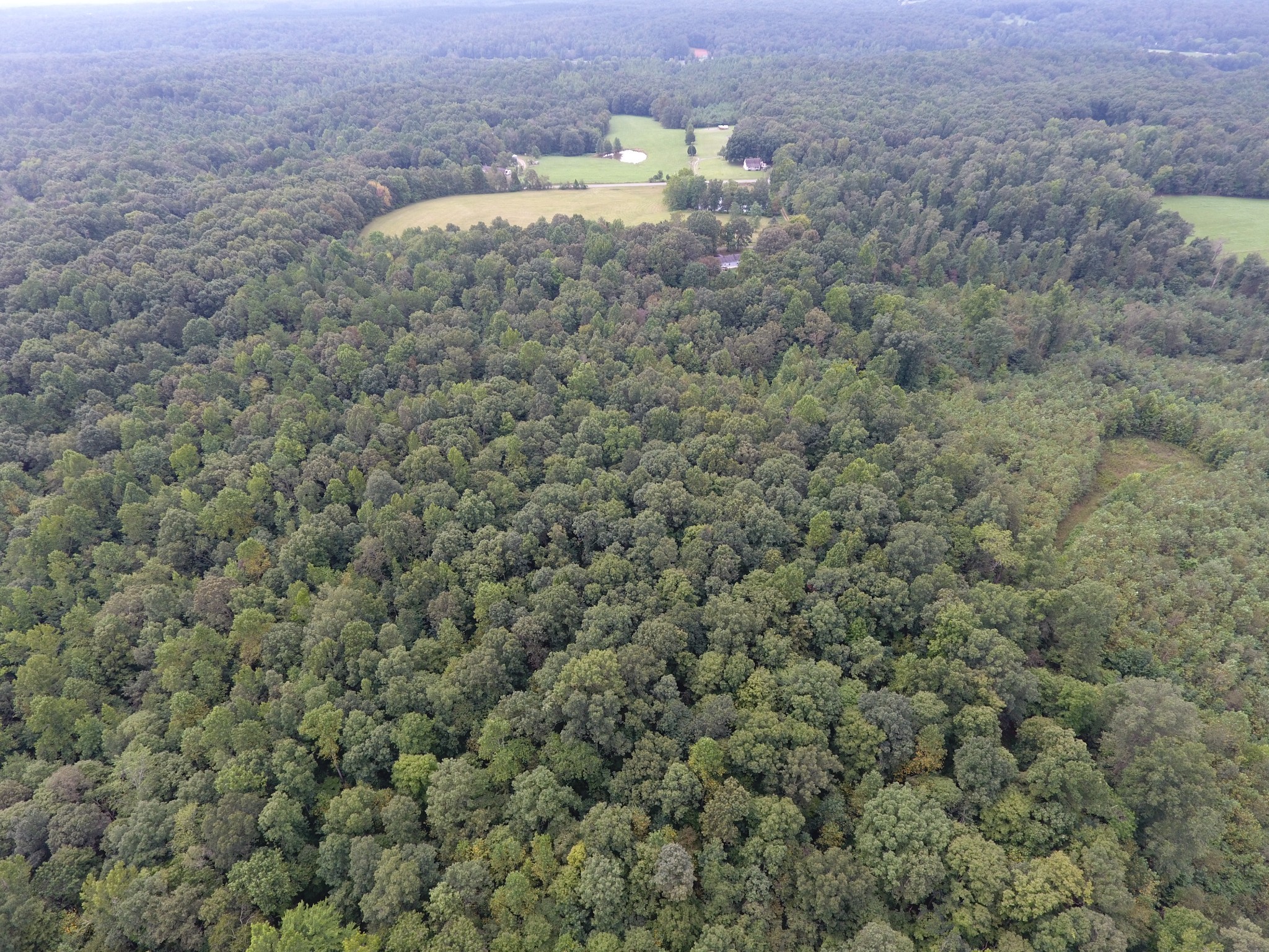 0 Pond Lane Tennessee Ridge, TN 37178 - Photo 4 of 30