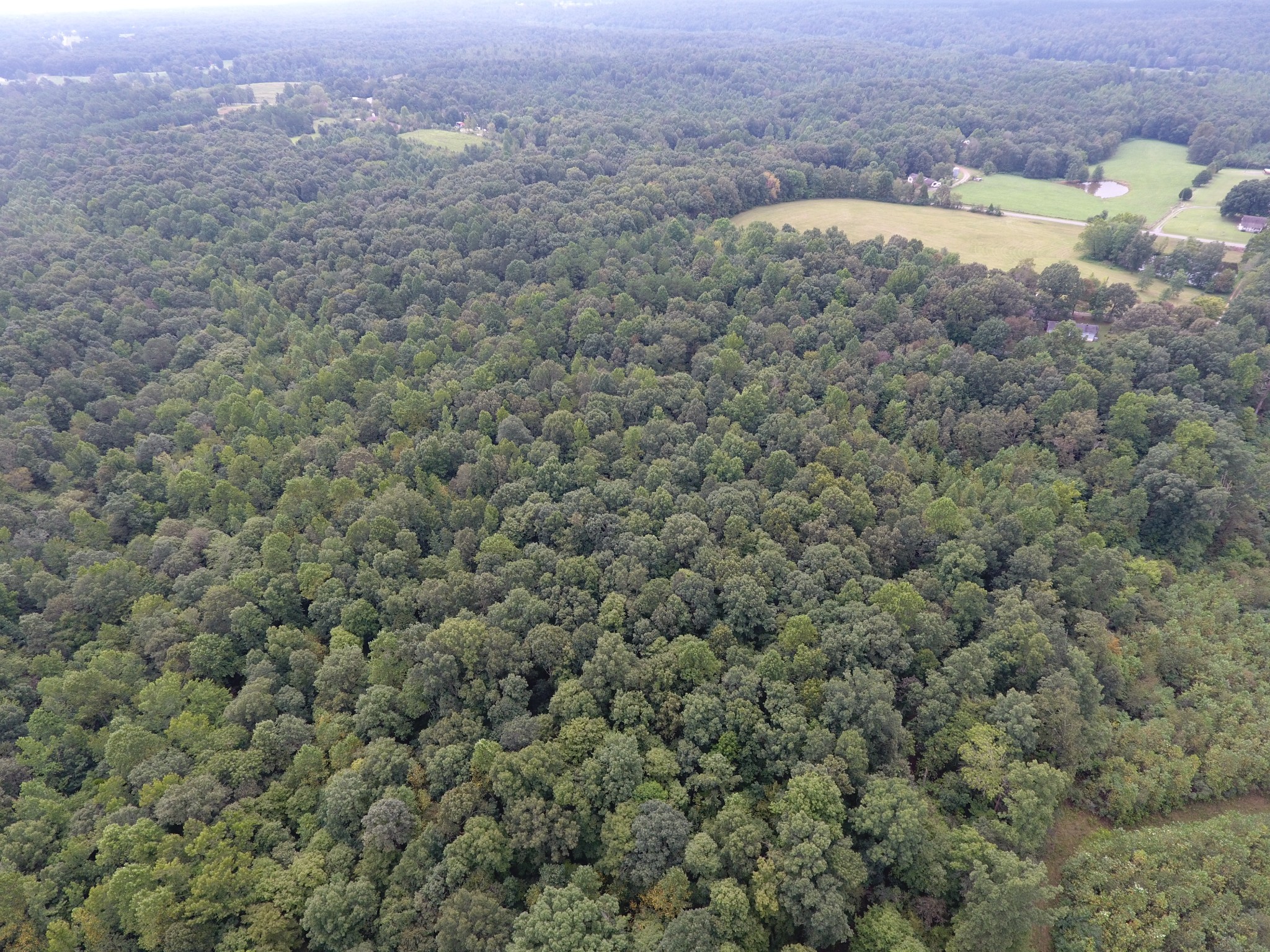 0 Pond Lane Tennessee Ridge, TN 37178 - Photo 5 of 30