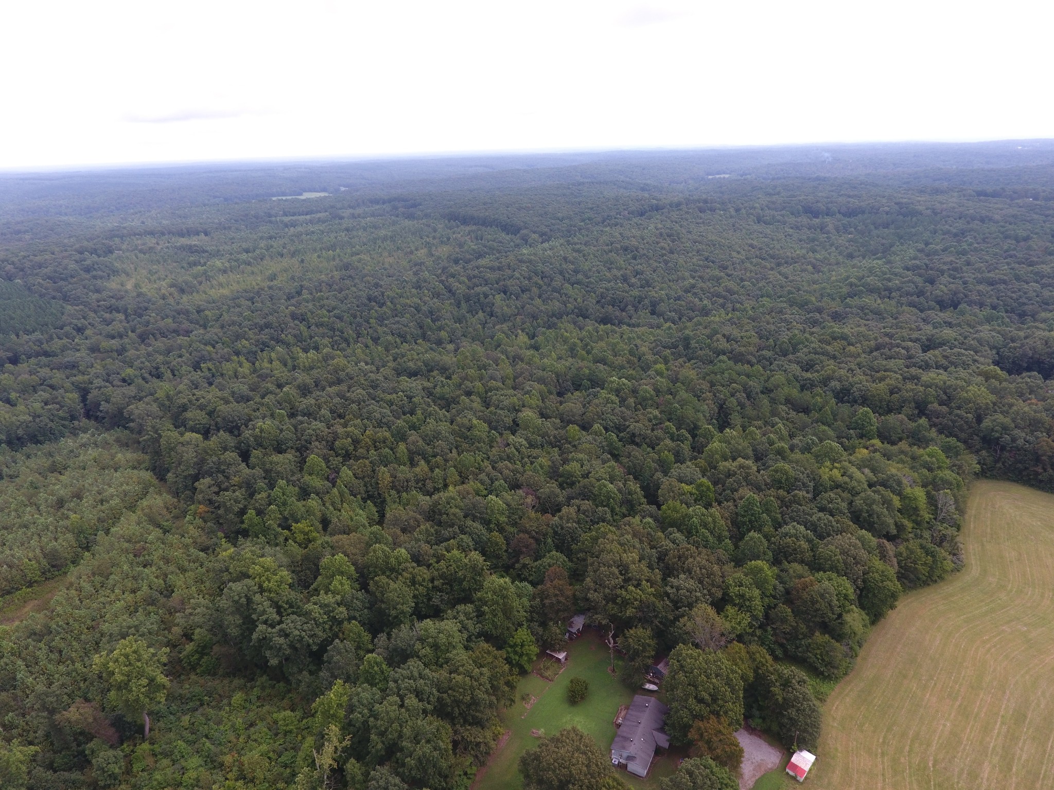 0 Pond Lane Tennessee Ridge, TN 37178 - Photo 7 of 30