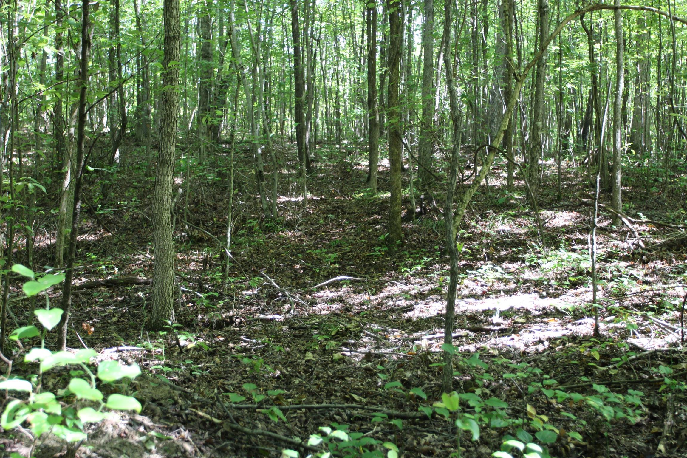 0 Pond Lane Tennessee Ridge, TN 37178 - Photo 8 of 30