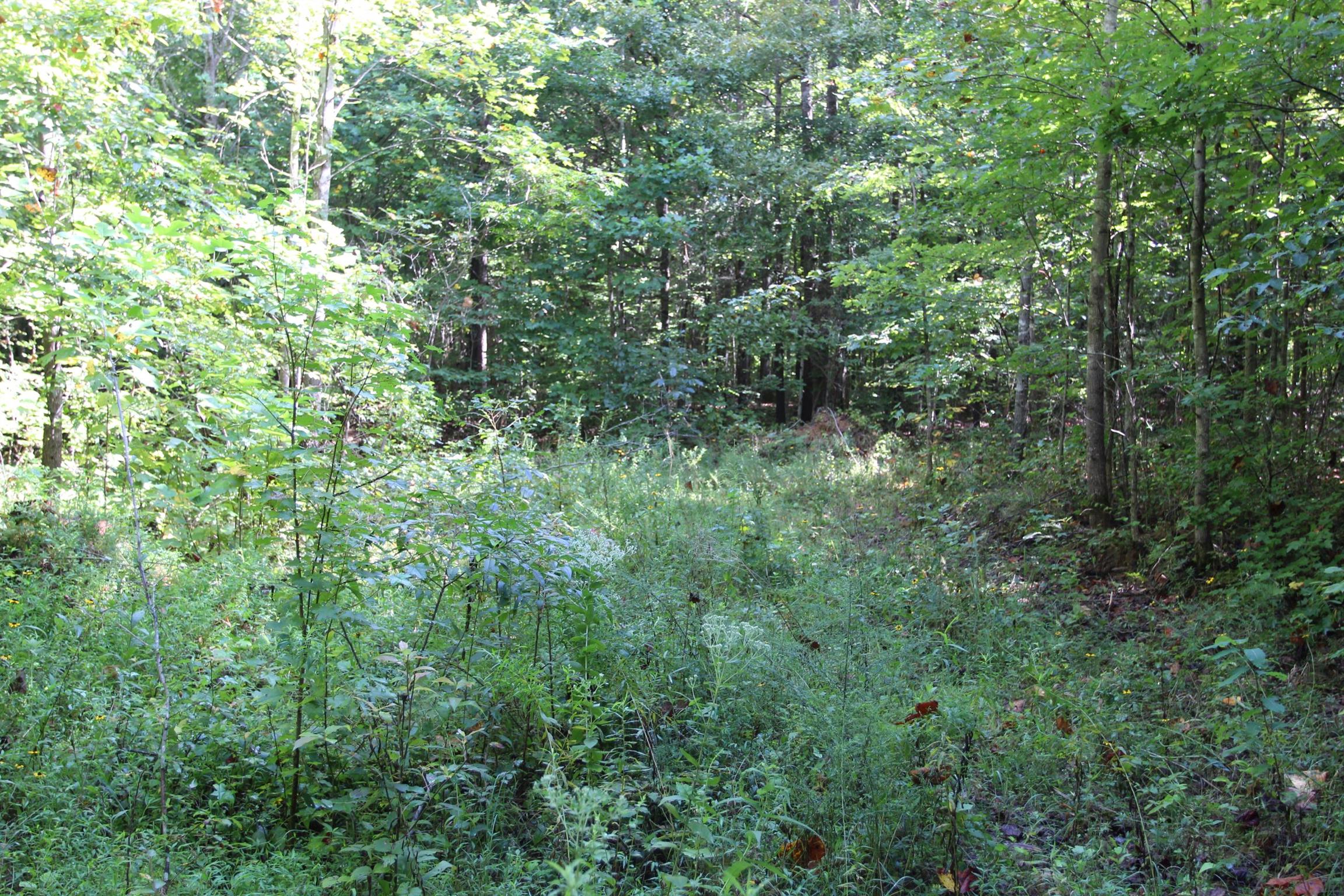 0 Pond Lane Tennessee Ridge, TN 37178 - Photo 9 of 30