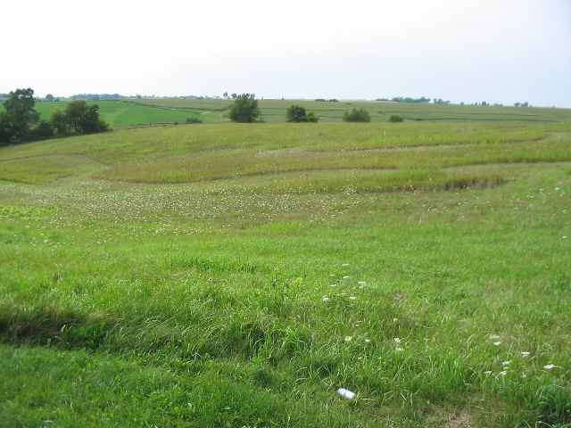D-7 Townline Road Mt Carroll, IL 61053 - Photo 2 of 5 Gallery Image 2