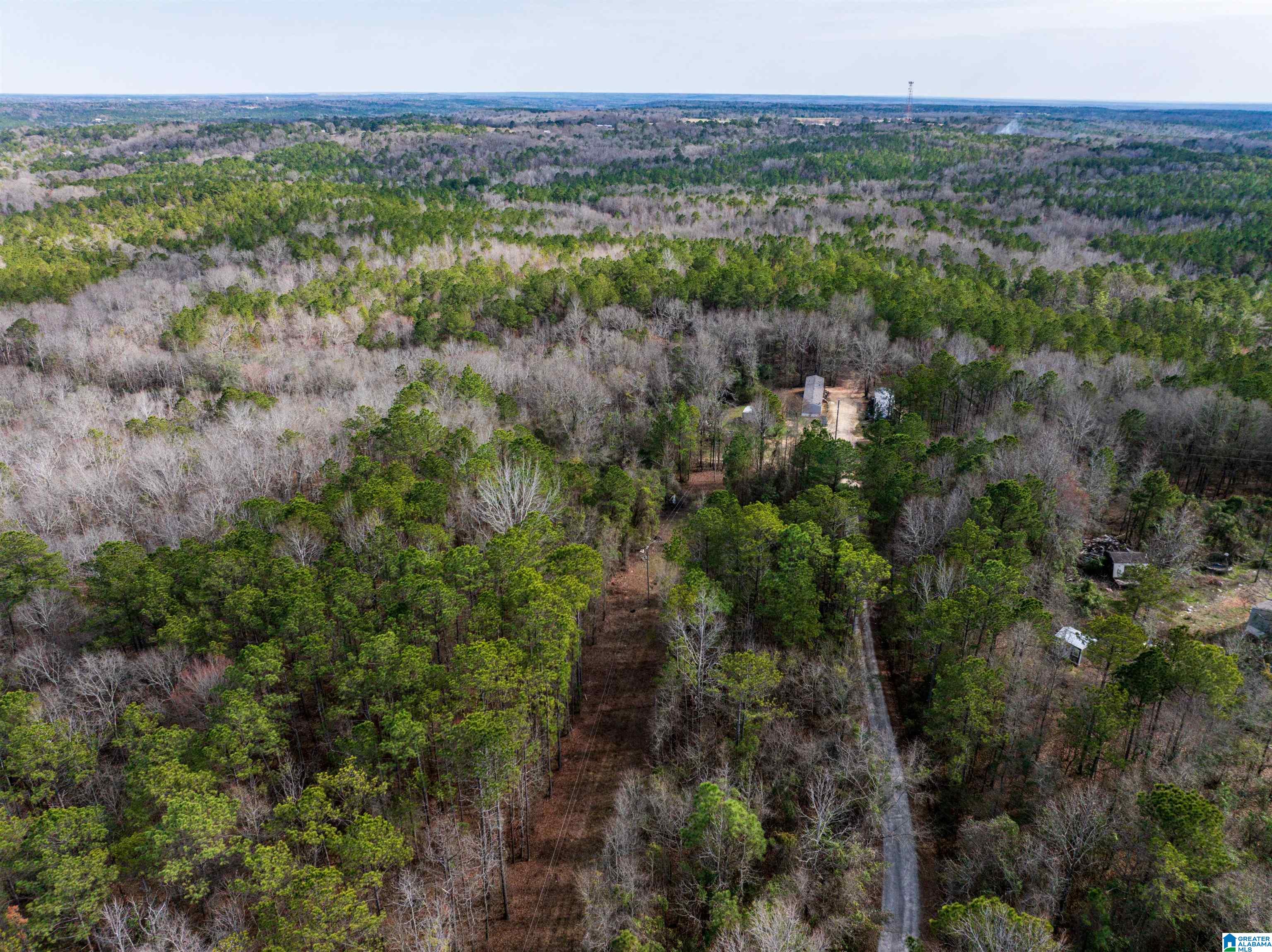 0 Flat Rock Road Tallassee, AL 36078 - Photo 2 of 13