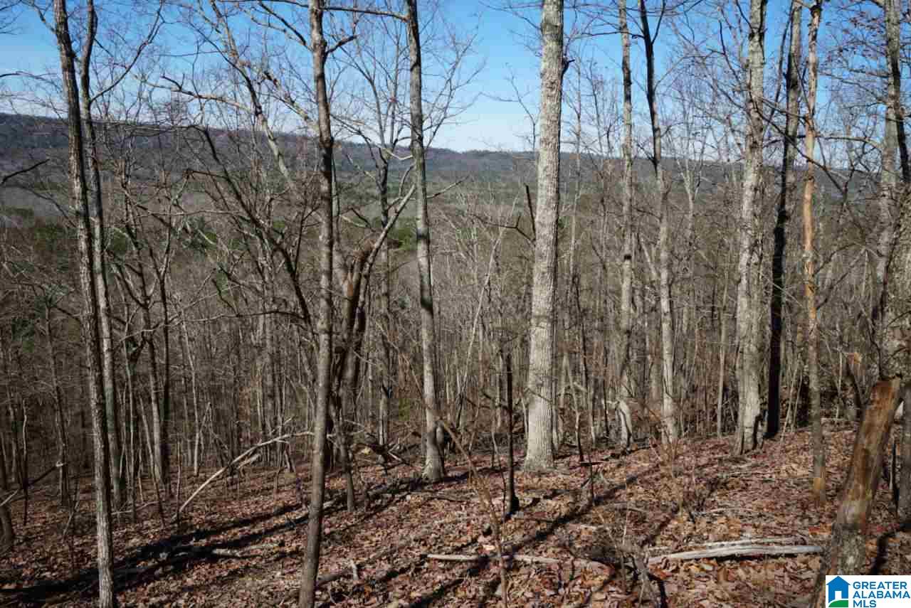Mystic Valley View, Unit 1 Sterrett, AL 35147 - Photo 22 of 33