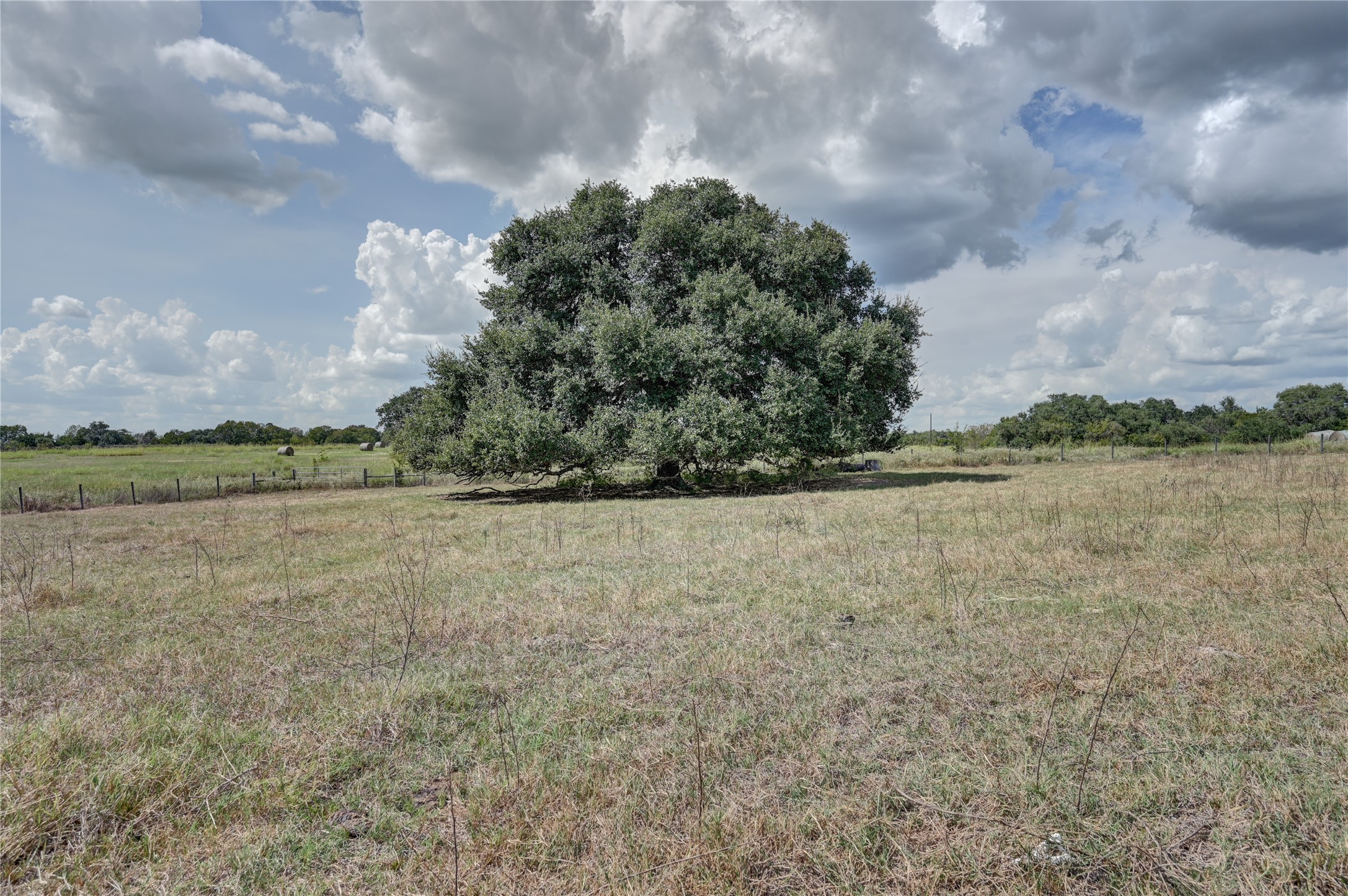 8000 Boehnemann Road Brenham, TX 77833 - Photo 9 of 29 West Oak