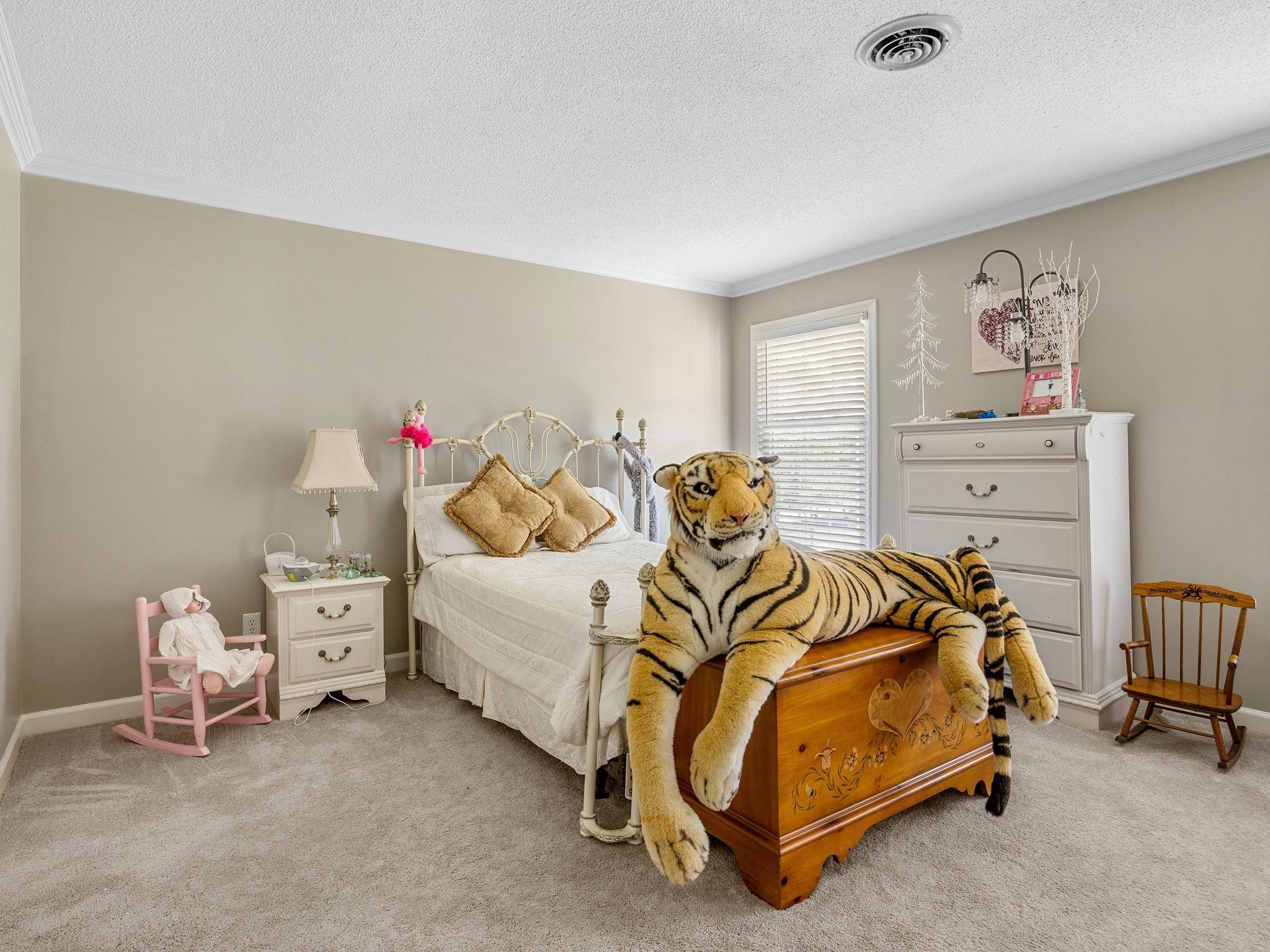 130 Settle Drive Inman, SC 29349 - Photo 23 of 50