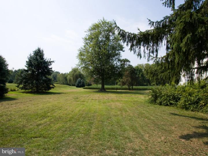 2448 Quarry Road Buckingham, PA 18902 - Photo 12 of 24 Gallery Image 12